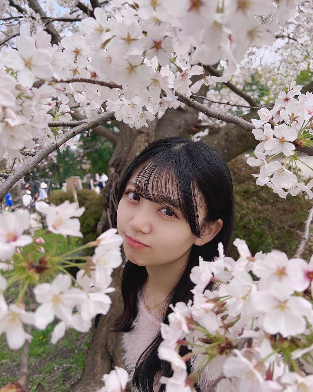 村上和叶さんのインスタグラム写真 - (村上和叶Instagram)「桜に埋もれてみました🌸   #桜 #honeybunny_vintage  #ferragamo」3月28日 21時23分 - murakami_wakana