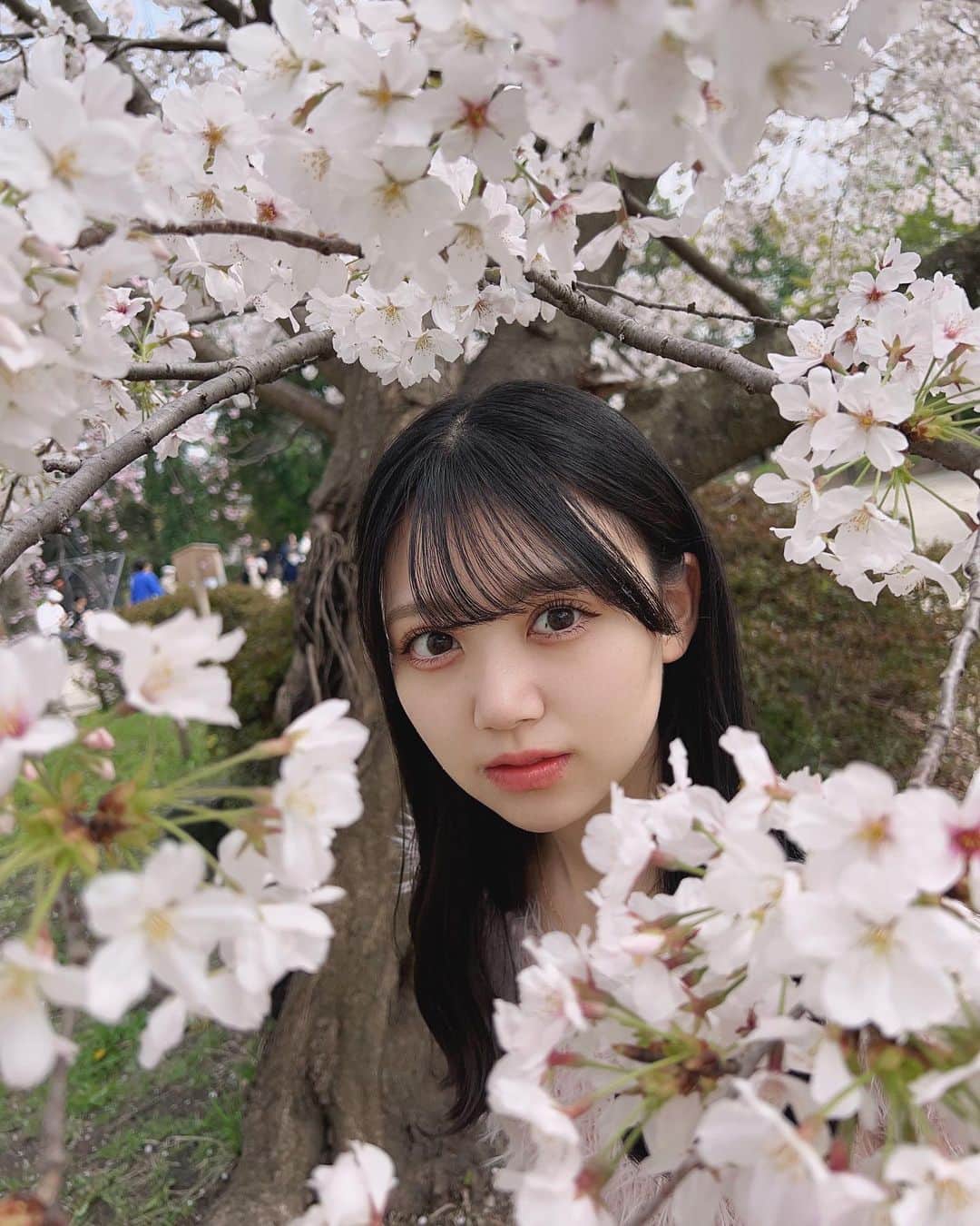 村上和叶さんのインスタグラム写真 - (村上和叶Instagram)「桜に埋もれてみました🌸   #桜 #honeybunny_vintage  #ferragamo」3月28日 21時23分 - murakami_wakana