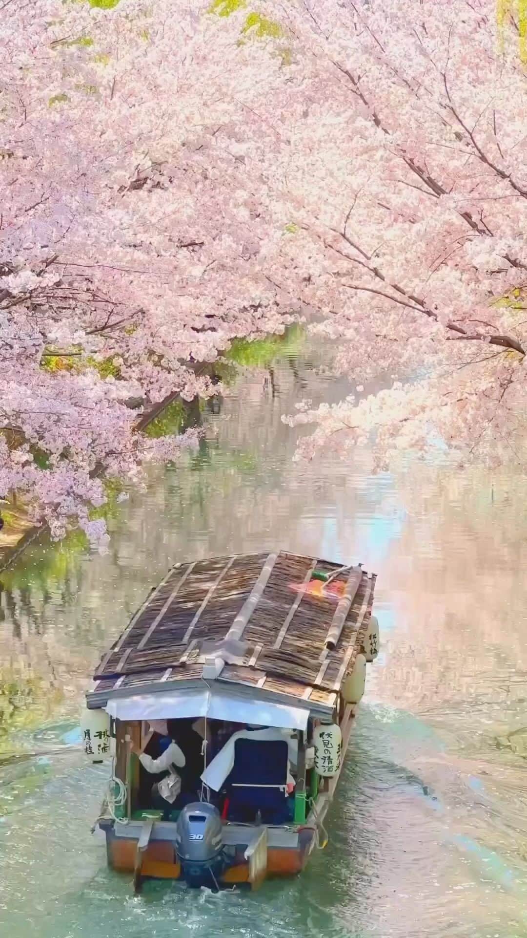Awesome Wonderful Natureのインスタグラム：「Cherry Blossom season is coming in Japan, who’s going there 😍🌸💖 Tag who you’d go with!!! 🥰🥰🥰 🎥 @1min.traveller  . 📍Kyoto - Japan 🇯🇵」
