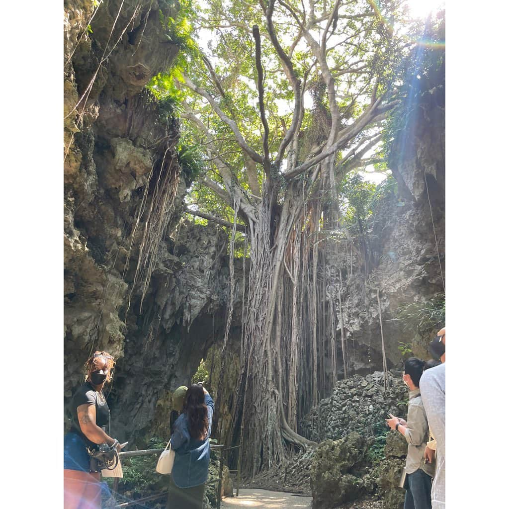 稲沢朋子さんのインスタグラム写真 - (稲沢朋子Instagram)「だいぶ前となってしまったーー 沖縄旅のおもひで&体験記 沖縄には何度も訪れているけれど初めて行った場所 早朝の飛行機✈️で向かいレンタカーに乗り込みガンガラーの谷ツアーへ参加！ 都会の喧騒とは真逆の神聖な場所へ 歴史を聞きながら過去から今なお未知な時の流れを感じながら遺跡巡り 神秘的な場所でした 鍾乳洞の中はひんやりとしていて自然がもたらす森林は空気も澄んでいて人を穏やかにさせますね #沖縄時間 #ガンガラーの谷　#沖縄大人女子旅　  @maenorichang  @mamimami0313」3月28日 21時48分 - ina_tomo