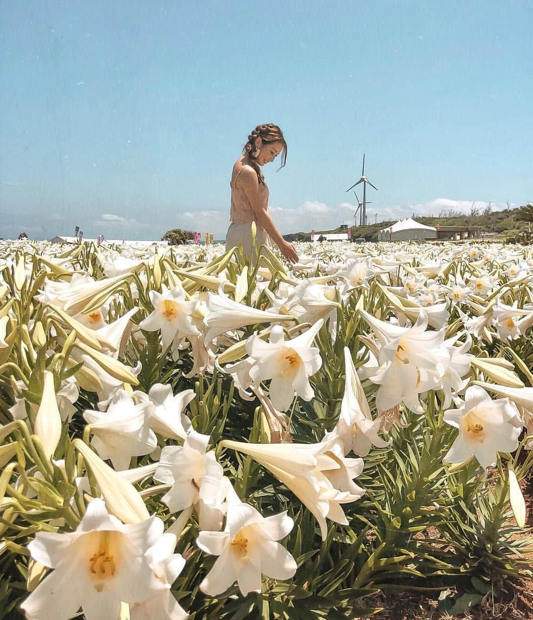 Be.okinawaさんのインスタグラム写真 - (Be.okinawaInstagram)「Welcome to Iejima, where thousands of lilies in full bloom transform the island into a storybook landscape.😮 From late April to early May, enjoy colorful lilies against the backdrop of the blue sky and sea. 💐 This utterly breathtaking experience continues into the evening, when paper lanterns are released into the night sky for another unforgettable view.🌌  Photo by @mikimisaki0220🎀  100萬株百合花燦爛盛開的伊江島，宛如繪本中所描繪的風景般美麗。從4月下旬到5月上旬，您能以清澈的藍天和大海為背景，欣賞五顏六色的百合花💐傍晚時分會在夜空中放飛燈籠，等待您的將是令人難忘的景緻🌌。  100만 송이의 백합이 피어있는 이에지마 섬은, 마치 동화 속 세계와도 같은 풍경입니다. 4월 말부터 5월 초에 걸쳐 맑은 푸른 하늘과 바다를 배경 삼아 색색의 백합을 즐겨보실 수 있습니다. 💐 저녁에는 밤하늘로 날리는 제등이 잊지 못할 풍경을 선사합니다. 🌌  #visitokinawa #okinawatrip #okinawaphoto #okinawajapan #japaneseislands #japantravel #japan #explorejapan #discoverjapan #visitjapan #japantrip #japanphoto #japantourism #okinawa #spring #lily #flower  #沖縄 #沖縄観光 #沖繩 #오키나와 #旅行 #여행 #打卡 #여행스타그램」3月28日 22時00分 - visitokinawajapan