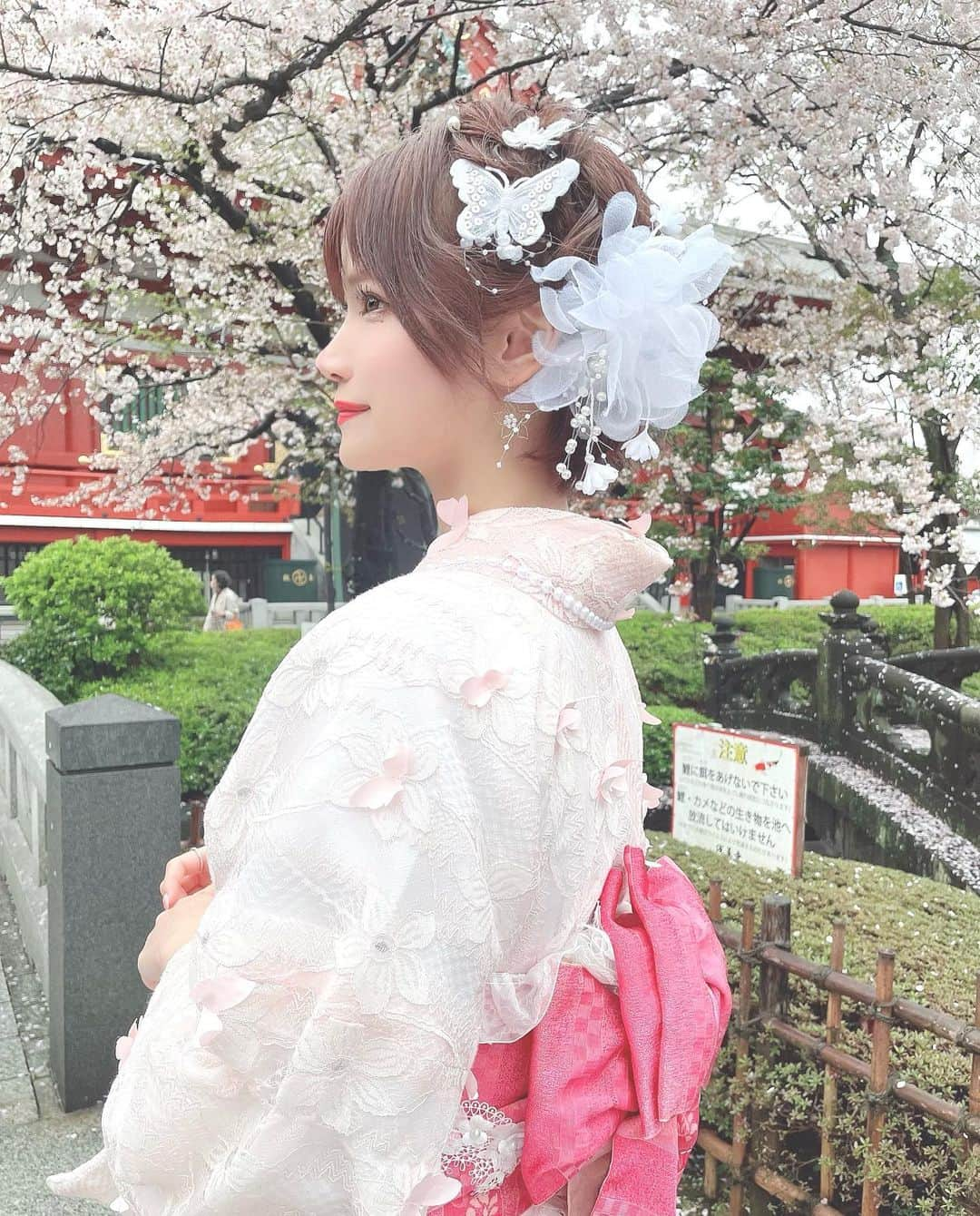 相良ましろさんのインスタグラム写真 - (相良ましろInstagram)「. 👘💗🌸 . 着物もヘアセットもめちゃくちゃ可愛かったし 人気で人多かったけど回転早くてすぐ着付け終わったよ！😘  浅草で着物借りる時にオススメです☺️✨️ 👘 @kimonomiyabi  . この日のために髪色もピンクと赤っぽくしてもらいました🍎 いつもどんな要望にも答えてくれてありがとうございます！ ✂️ @tetsuya.t.vain  . . #浅草 #撮影会 #着物撮影会 #ポトレ撮影会 #ポトレ #着物 #桜 #雷門 #隅田公園 #浅草食べ歩き #浅草寺 #浅草着物レンタル #グラビアアイドル #ショートカット #ビジョビ #女子力向上委員会 #女子力向上計画 #shorthair #cosplayer #gravure #shortcut #shorthair #instagood #selfie #kawaiigirl #japanesegir」3月28日 22時08分 - mashiro_sagara