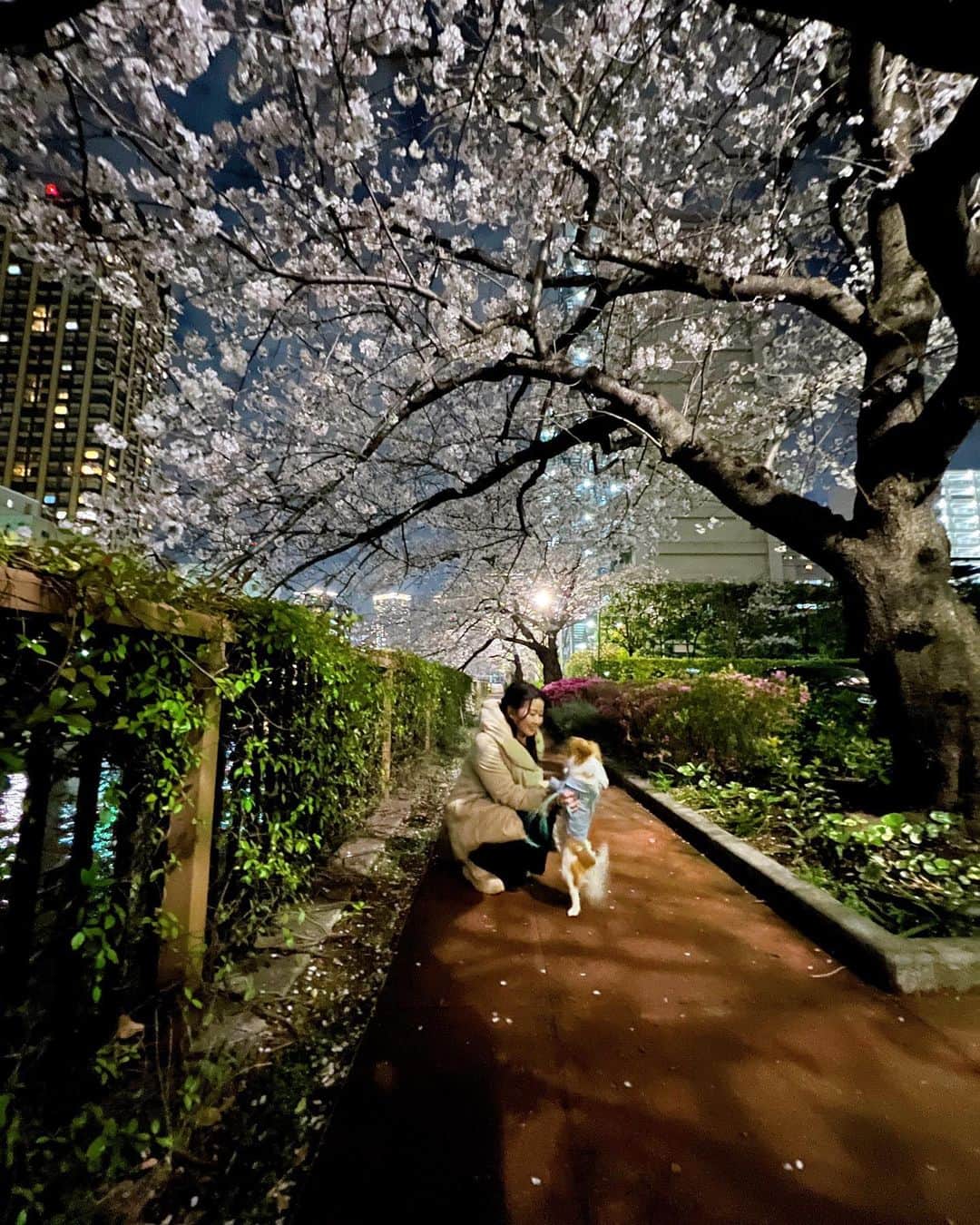 楪望のインスタグラム