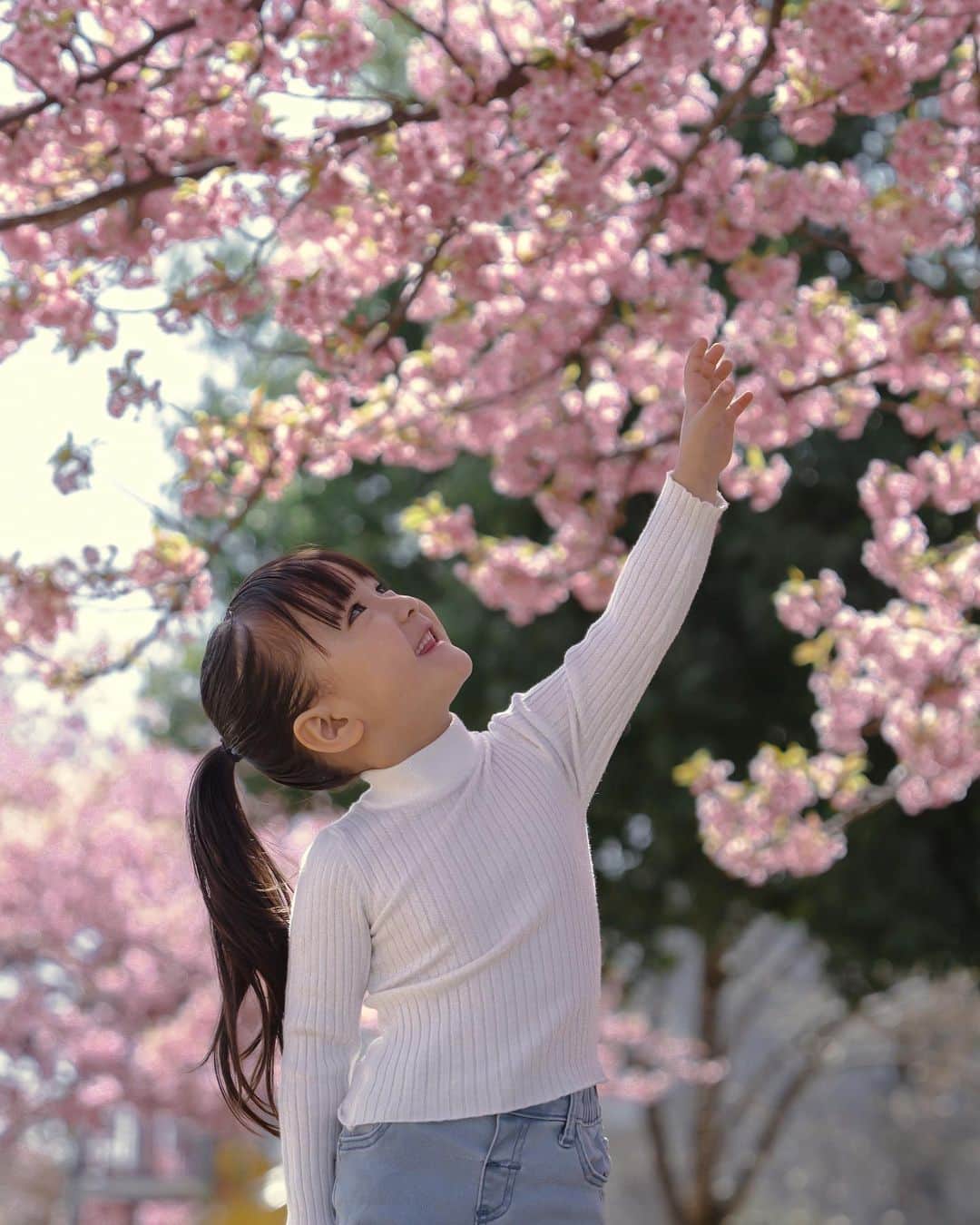 孫きょうのインスタグラム：「photo🌸  @sparklingmoment_non   親友がカメラマンになってから毎年撮ってもらっている桜写真🌸今年はピンクが濃い河津桜で、アイドルかのようにポーズを炸裂していた🥹🫰🏼ほっんと過去の桜写真と見返すと成長したなぁ🌸🌸  のんちゃんラブすぎて、もうあんちゃんとも親友だけど🤝🏻💞 2020年の初撮影は今となったら最高の思い出の人見知り時期🤣 目を開けない、近寄れないから帰ったふりして遠くから望遠で撮ってくれてた🤣  当時はせっかくの機会「ちゃんと撮れなかった😇」なんて思ったけど、今となればそんな時期の事も写真に残っててよかった🥹笑  来年はついに卒園入学式…🎒 予約が取れにくい大人気カメラマンだけど、親友の特権使わせてもらってもう今から予約させてもらいます🥹」
