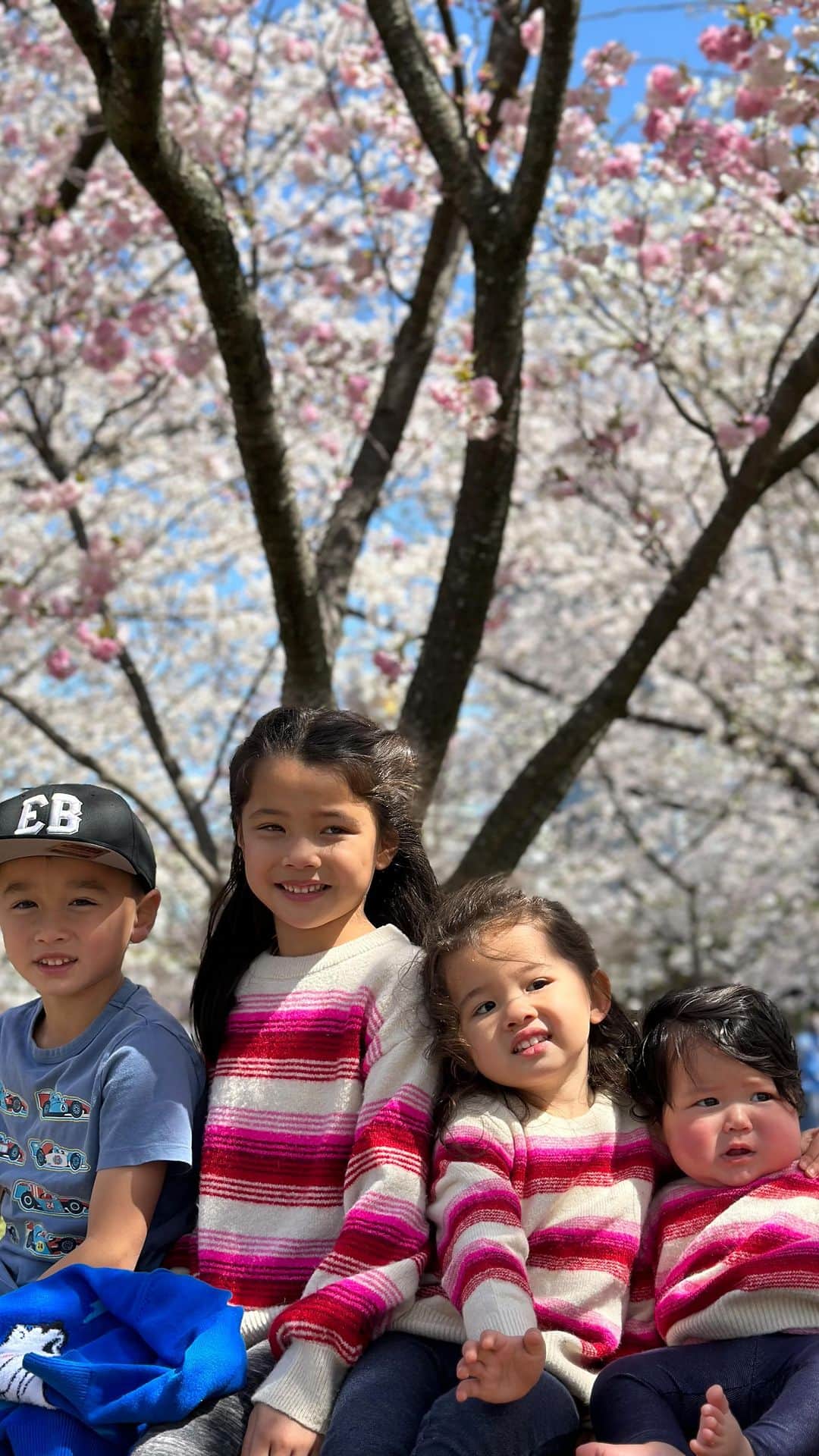 エリナ シルカのインスタグラム：「In full bloom 🌸 大濠公園でお花見。満開の桜の下でコーヒーを飲み、乗馬体験もして、公園で思いっきり遊んだあとはオヤツタイム。幸せな1日でした😇」