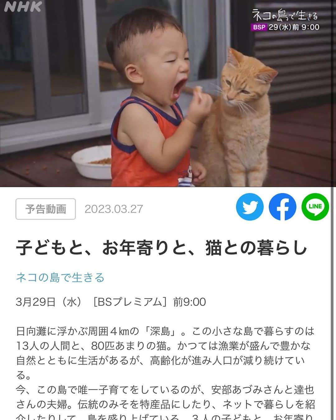 藤井奈々のインスタグラム：「「ネコの島で生きる」 という番組の予告ナレーションを させていただきました🐈♡  久しぶりの私の声です🤭❣️  そして、ほんっとに素敵な ドキュメンタリーなのでぜひ♡  私も、すごくたのしみ🥹✨  NHK BS プレミアムで流れています♡  この男の子、ほんとにいい顔してる🥹🫶  人よりも、ネコのほうが多い島🐈 いってみたいなぁ🌼  ストーリーズに リンク載せておきます♡」