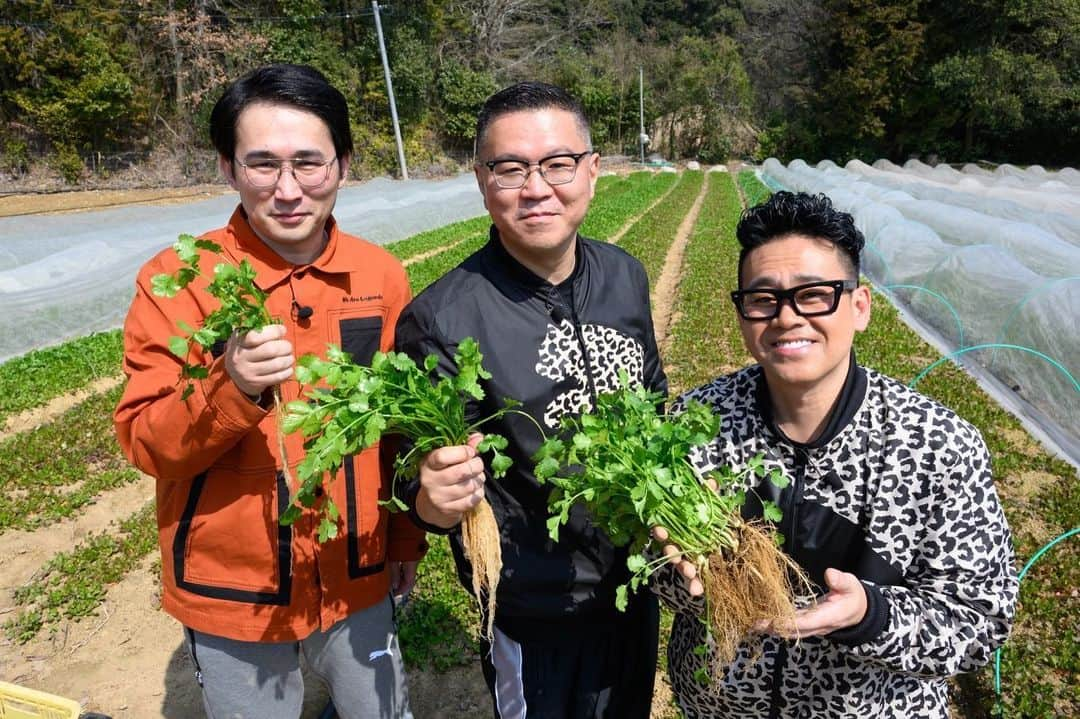 日本テレビ「満天☆青空レストラン」のインスタグラム