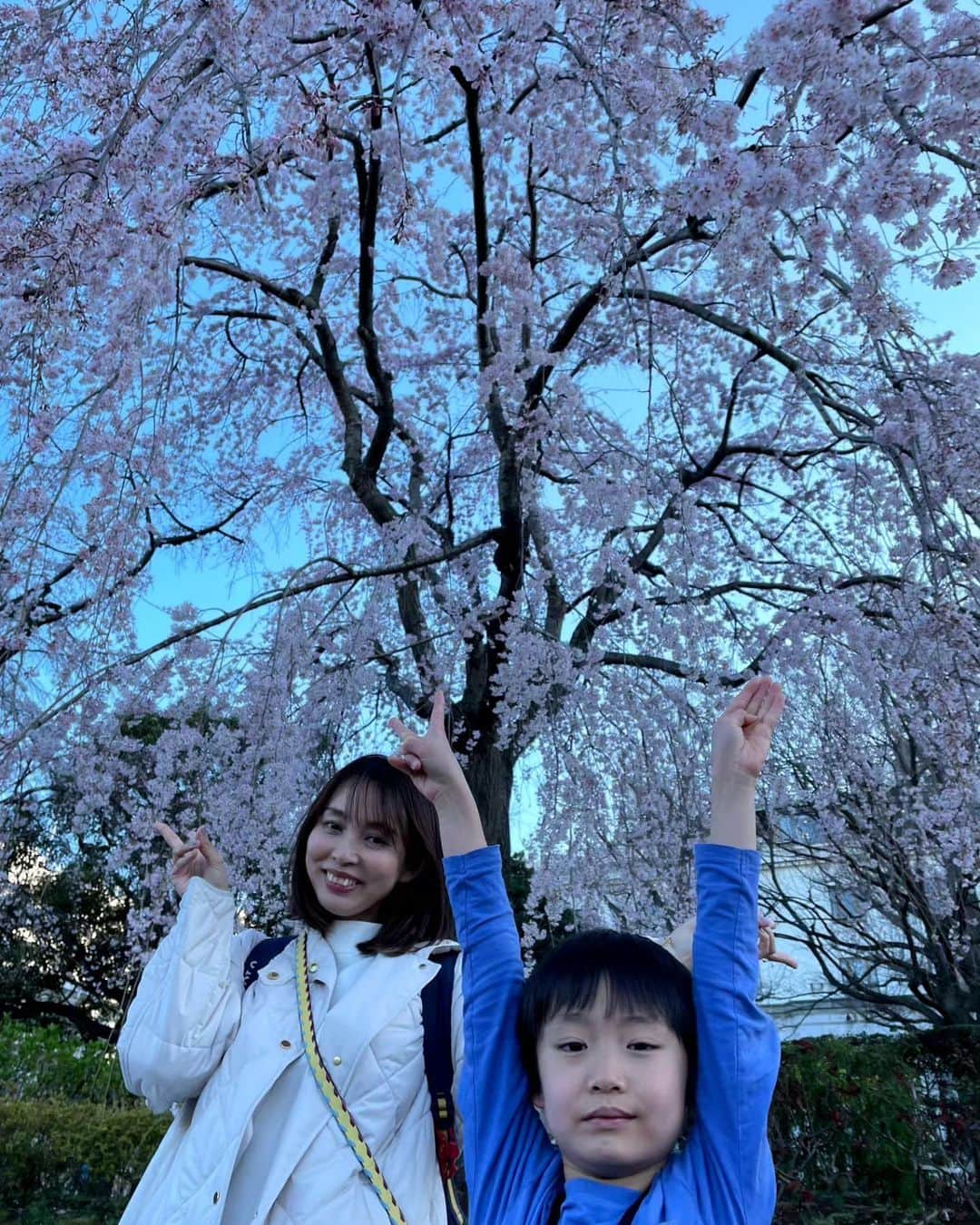 清野紗耶香さんのインスタグラム写真 - (清野紗耶香Instagram)「先週。まだ花は咲いてないかな〜と思ったら結構咲き始めてたよ(画像6)💐  桜も１か所だけ咲いてて、何かのロケでもやってるのかと思うくらいそこだけ人だかりができてた😁 画像3＆4枚目は誰もいないかのように撮った奇跡の写真🫨なだけで、周りには 撮影会のようにモデル立ちした若者wたちがたーくさんいたよ🤭 引きで撮ったのが分かりやすいとおもう(画像5)  わたしが #ミネラルザワールド 見てる間に 夫がこーたを連れ出してくれて(飽きたから) #大さん橋 でアイス食べてたみたい🍦🙏🥲🌟  ご機嫌になってよかった〜  でも、気に入った#鉱物 がこーたにもあったらしい。 それは、#ビスマス ！！ 家でも作れるらしいから今度チャレンジする✨✨  #山下公園のしだれ桜 #枝垂れ桜 #横浜観光スポット #しだれ桜 #サクラ #🌸 #yokohama_love #myガーデンネックレス横浜  #ガーデンネックレス横浜2023  #ガーデンネックレス横浜 #山下公園 #みなとみらい #minatomirai #yokohama  #まめちょびん #7歳 #7歳男の子  #小学2年生  #男の子のママ #子育てぐらむ #子どもの日常をもっと写真に #まんゆうキッズ」3月28日 22時28分 - seino_sayaka