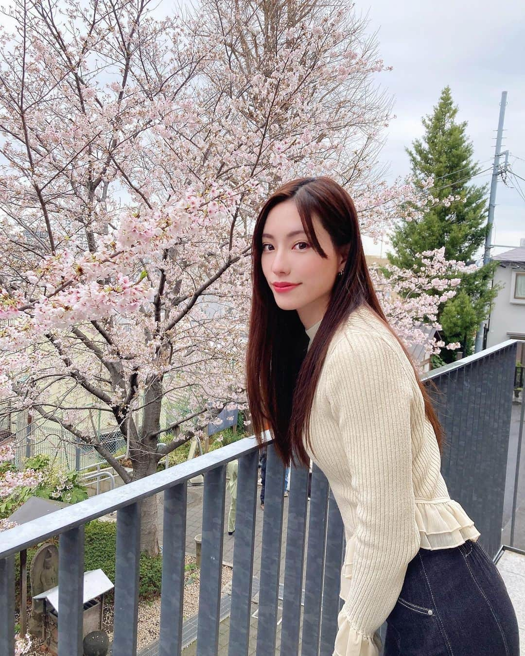 星野奏さんのインスタグラム写真 - (星野奏Instagram)「桜🌸雨が上がったから見てきたよ〜！！ 数年ぶりの神楽坂、赤城神社⛩ ・ ・ ・ ・ #桜 #桜スポット #赤城神社 #神楽坂 #写真#instadaily #frower#cherryblossom#model#shooting#春#zara#japan#撮影モデル#おでかけ #雨上がり#櫻花#春天」3月28日 22時36分 - hoshino_kanade_