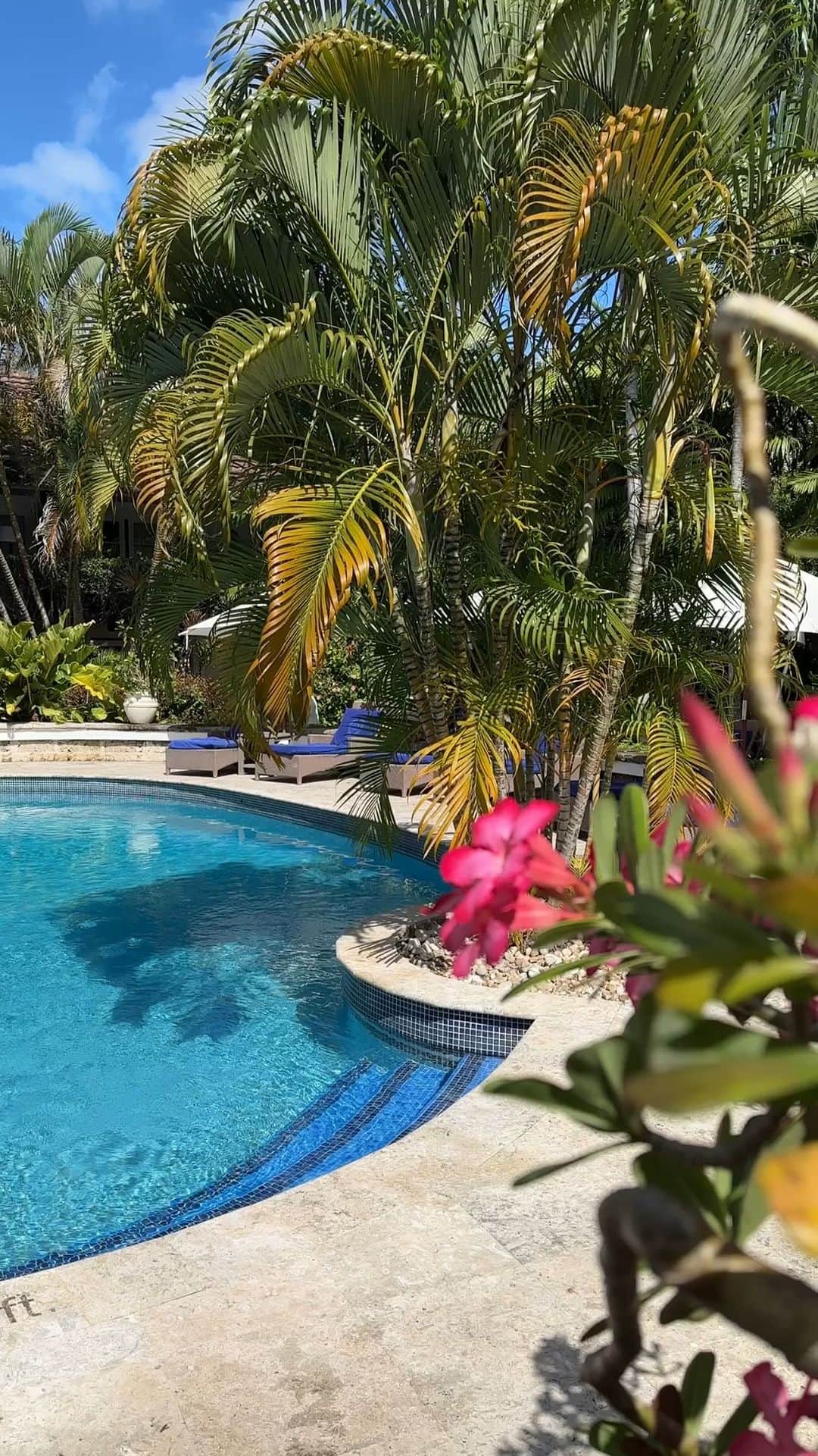 ペオニー・リムのインスタグラム：「Welcome to the Sandpiper, Barbados. A beautiful garden resort, ideal for unpretentious luxurious breaks in the sun. We stayed in room 2 which has a beautiful view of the beach. Sound on for my detailed review.  📍 @sandpiperbarbados  press trip #peonylimtravel」