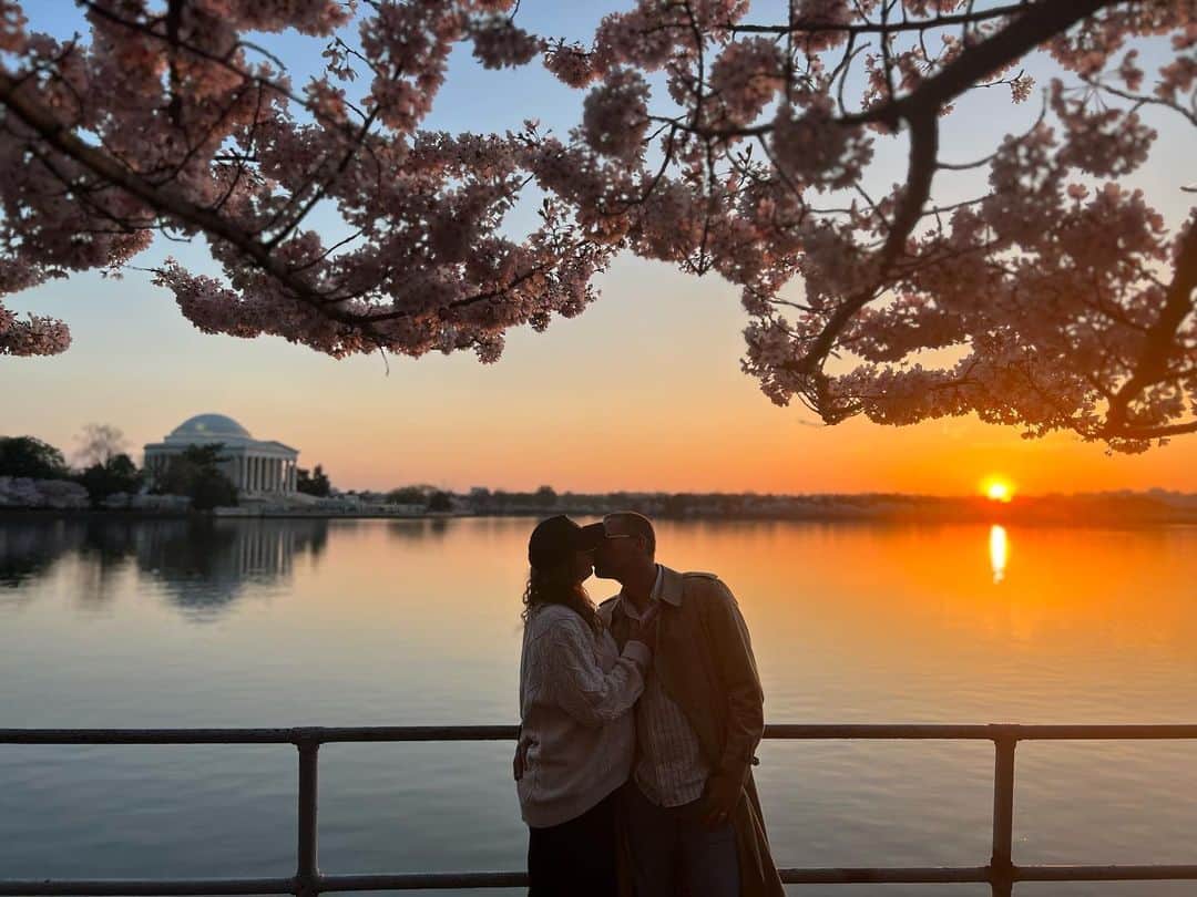 のインスタグラム：「🌸」