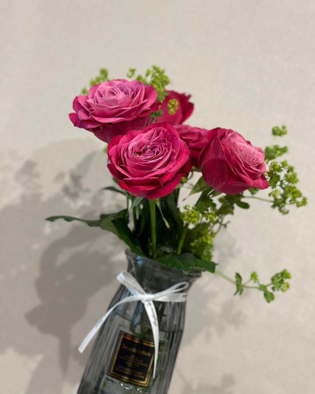美波千夏さんのインスタグラム写真 - (美波千夏Instagram)「. 今月もお花の定期便が届いたよ💓 @moafura  今回のお花はプライムチャーム＆アルケミラロブスター🌹 エレガントでかわいらしい🫶💓 この組み合わせ好きだな〜✨✨  自分じゃ思いつかない素敵な組み合わせ💓 お花の定期便ならではだよね✨✨  最近モアフラからのお花が届くのが楽しみで 花瓶も色々と揃えてる♪♪  お花のある生活幸せだ〜✨✨  .  #moafura   #モアフラ #お花の定期便 #お花のある暮らし #お花のある生活 #バラ花束 #バラ定期便 #バラサブスク #バラギフト　 #バラ #rose #花束 #ギフト #gift #薔薇」3月28日 22時55分 - chinatsu_minami