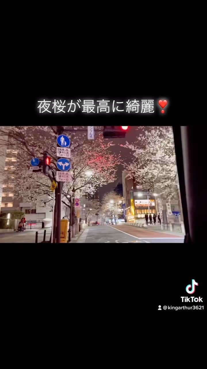 黒田アーサーのインスタグラム：「帰り道の夜桜が素敵でした❣️ #夜桜 #綺麗だった #東京夜景」