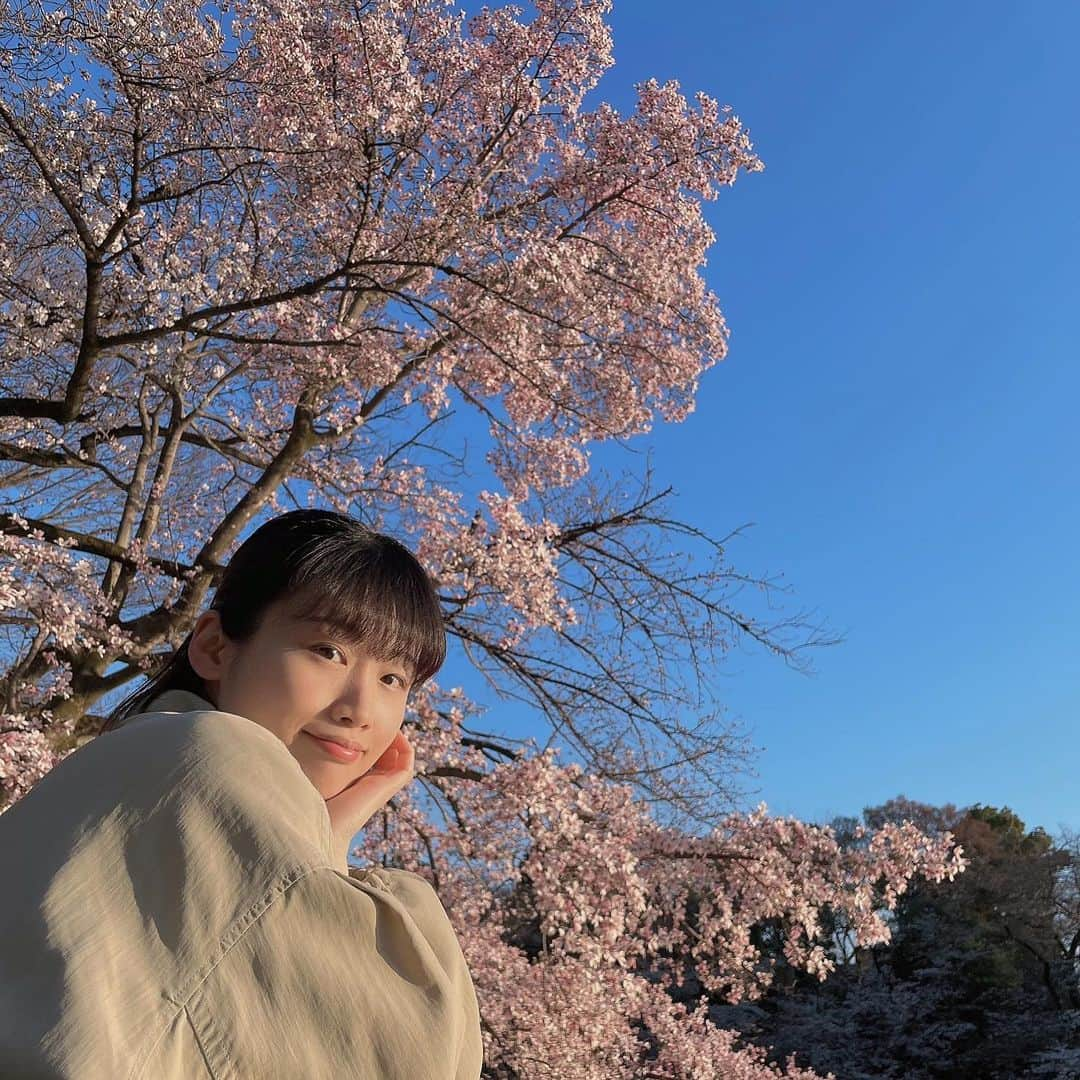 柏山奈々美さんのインスタグラム写真 - (柏山奈々美Instagram)「🌸🌸🌸  最近は天気悪くてお花見出来てないけど、5分咲きくらいの時に見た桜😊  #桜　#sakura」3月28日 22時59分 - nanamikashiyama