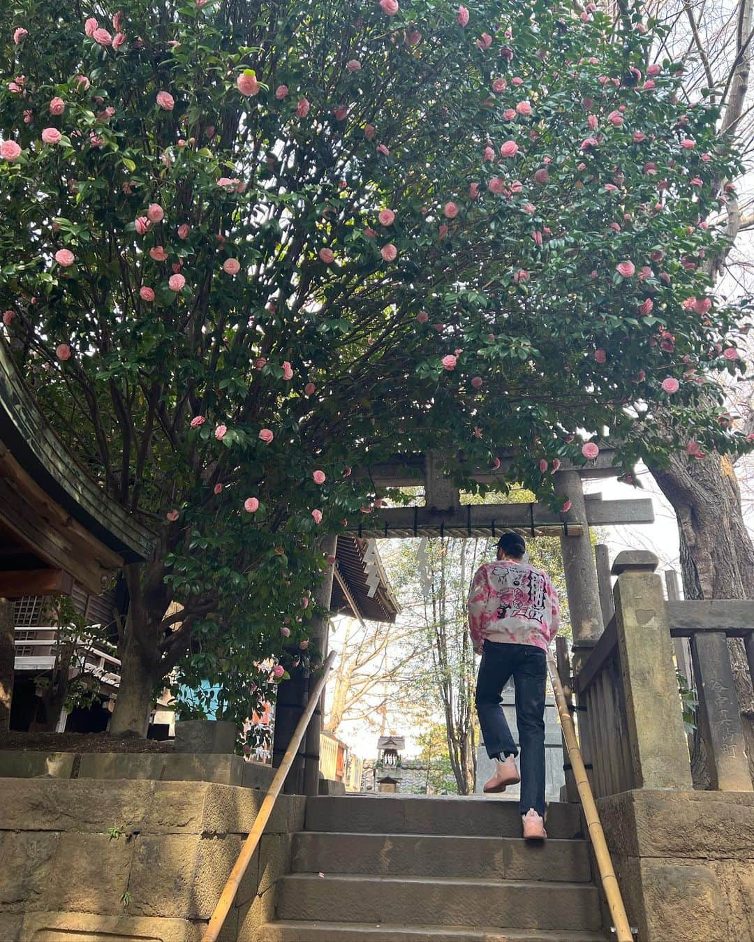 ザック・バランスキーさんのインスタグラム写真 - (ザック・バランスキーInstagram)「Had a nice little walk the other day. Nishi-Nippori〜Nippori🚶🚶‍♀️🌸💯 #散歩」3月28日 23時09分 - zackab10