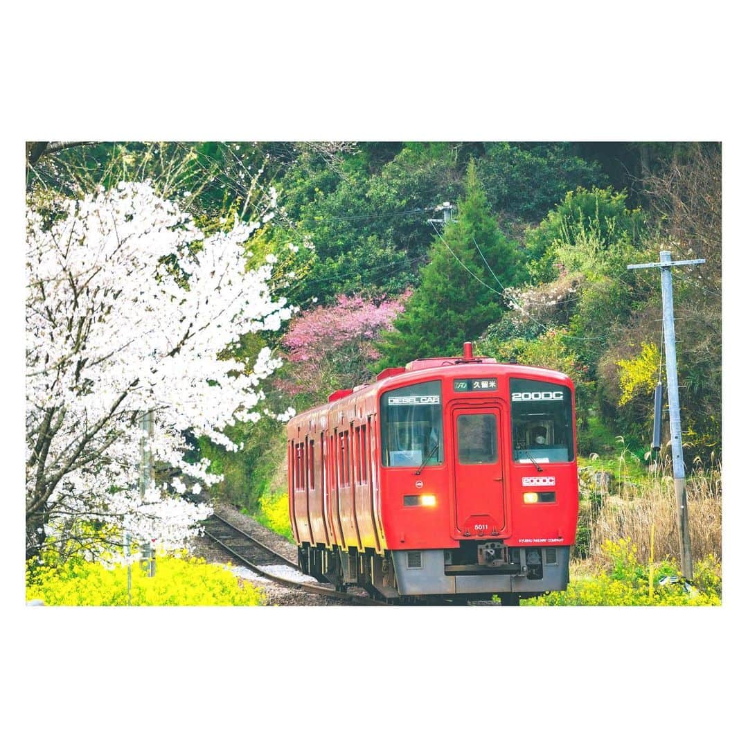 yamatoさんのインスタグラム写真 - (yamatoInstagram)「うきはの街を走る赤い電車。  かわいくてついつい撮ってしまうな〜」3月28日 23時14分 - yamato1226