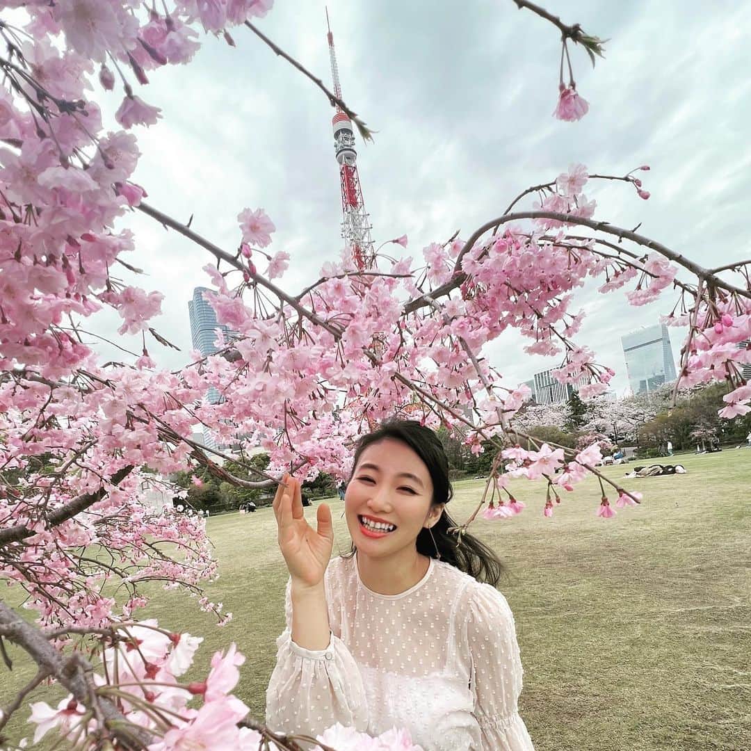 島津久美子のインスタグラム：「今年の春は例年以上に花粉に負けています🥲🌸 せっかく綺麗な桜もお天気のいい日にはみにいけず、雨続きだったこの週末にようやくお出掛けすることができ🤣春を味わえました🌸 桜も月日もあっという間です… #さくら #東京タワー #2023春 #桜スポット #花粉症 #アナウンサー #tbssparkle #newscaster」