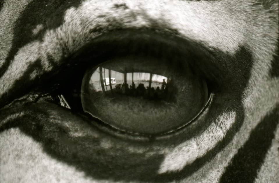 ポール・ブラックソーンのインスタグラム：「I was in Italy sometime in the late 90’s shooting a TV commercial. That’s the crew, a marquee, and a bit of Tuscany floating around in the Zebra’s eyeball. Taken on the beautiful FM2. Photos from the attic… #filmphotography #travelphotography」