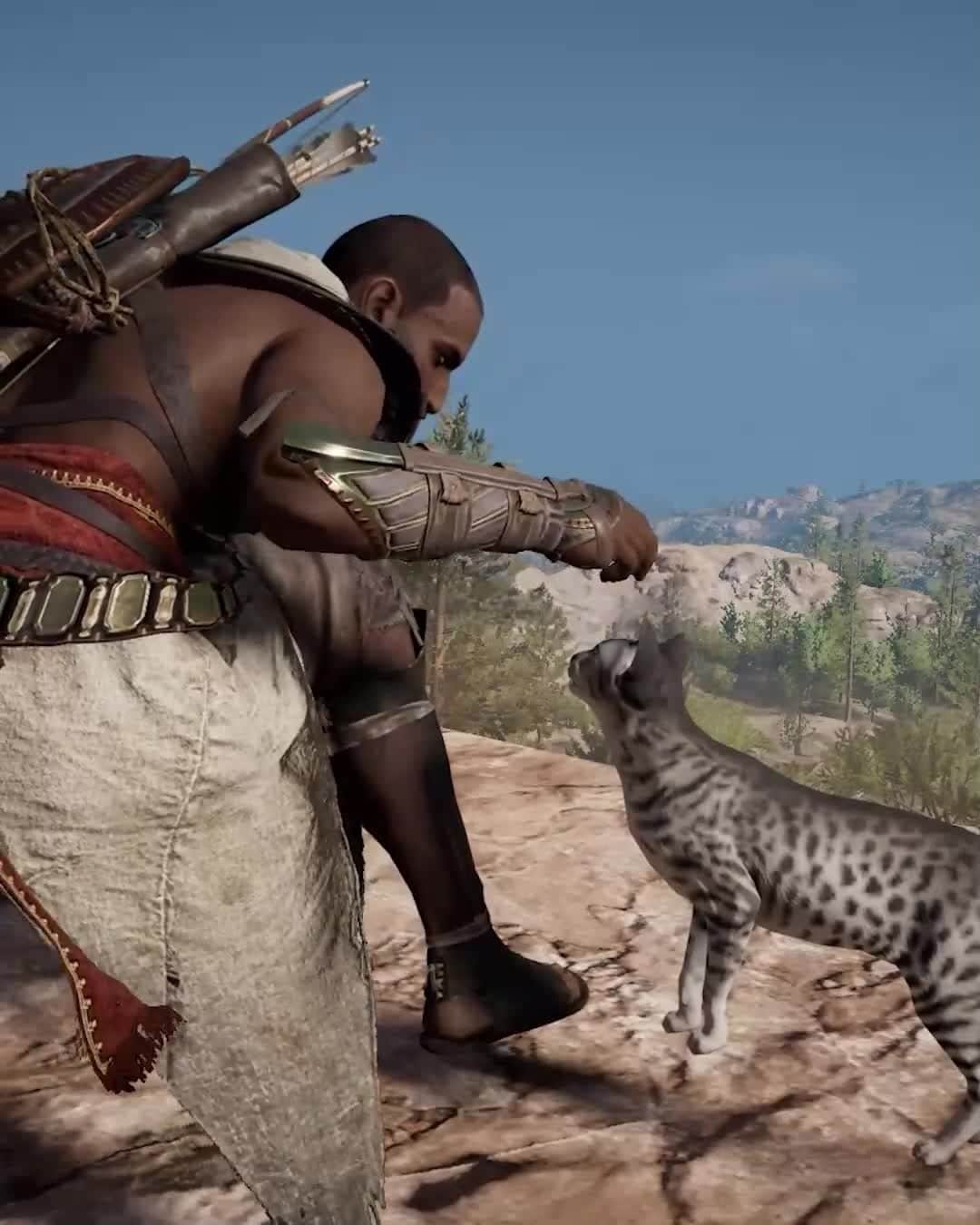 アサシン クリードのインスタグラム：「This village has been reclaimed by the most sacred of animals: Cats.  Did you know this existed in Assassin's Creed Origins?   You can find these feline friends in the Ogdamos location in the Paraitonion region. #AssassinsCreed」