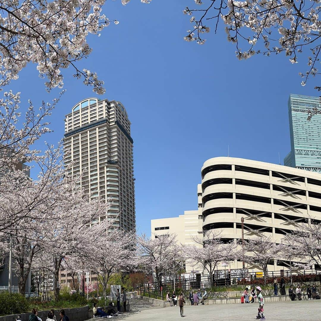 ハルカス大学さんのインスタグラム写真 - (ハルカス大学Instagram)「#ちらカス #ハルカス #桜 #サクラ #さくら #あべのハルカス #cherryblossom #大阪 #天王寺 #あべの #花見  #osaka #tennoji #abeno #harukas #jp #march #日本 #ランチ #lunch  #cherry #春 #spring #photography #photo #団欒 #おでかけ #あべてん #ええやん  #大阪城公園」3月29日 13時11分 - harudai.jp