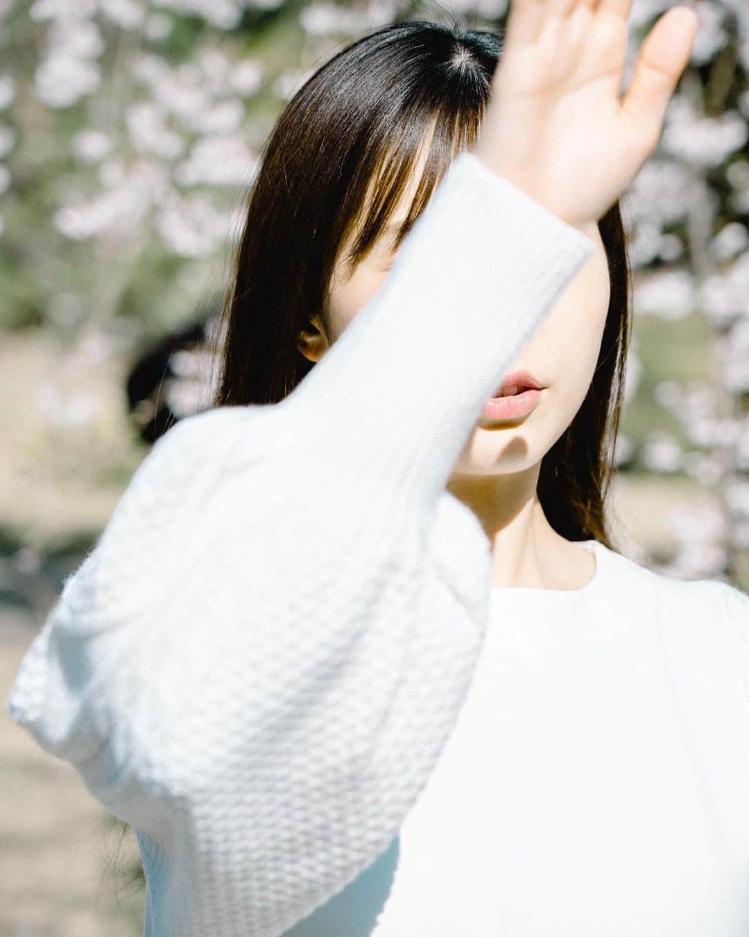 川村那月さんのインスタグラム写真 - (川村那月Instagram)「桜をバックにいい感じに撮って貰ったつもりが…  想像と違って草生えた🌱  いや、草超えて桜咲いた🌸  #桜 #小石川後楽園 #作品撮り  みちるさんいつもありがとうございます✨ ちゃんと綺麗に撮ってもらったのもあります！笑」3月29日 11時50分 - kawamura_natsuki317