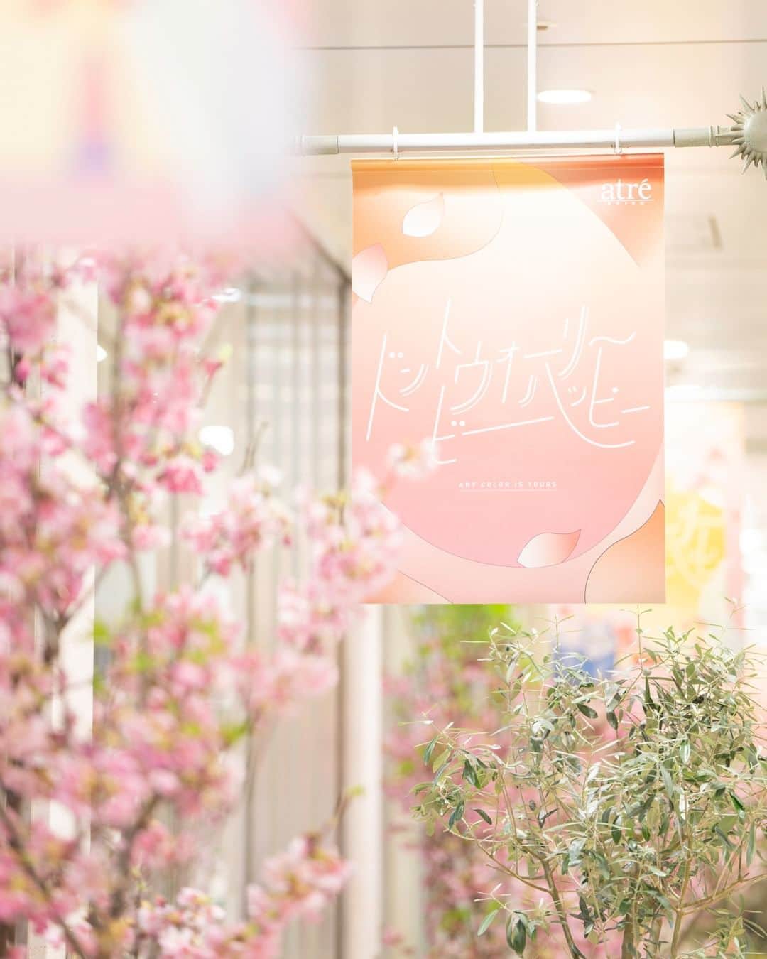 アトレ恵比寿公式さんのインスタグラム写真 - (アトレ恵比寿公式Instagram)「都心で春を感じるのは難しい…？  アトレ恵比寿では「生桜」をはじめとした、 桜の装飾を4月上旬まで実施してします🌸  新生活に新年度、慌ただしく過ぎる日々の中で 少し足を止めるきっかけになりますように｡:+* 視線を上げると、ほわっと咲く桜に心が和らぐかもしれません。  春爛漫なアトレ恵比寿に、ぜひお立ち寄りください♪  #アトレ恵比寿 #アトレ #atre #atreebisu #ebisu #春 #春装飾 #恵比寿駅 #恵比寿女子 #エビジョ #コンコース #桜 #さくら  #新生活 #新年度 #応援 #癒し #装飾 #ディスプレイ #お花 #きれい  #tokyo #ebisu #sakura #cherryblossom」3月29日 12時00分 - atre_ebisu
