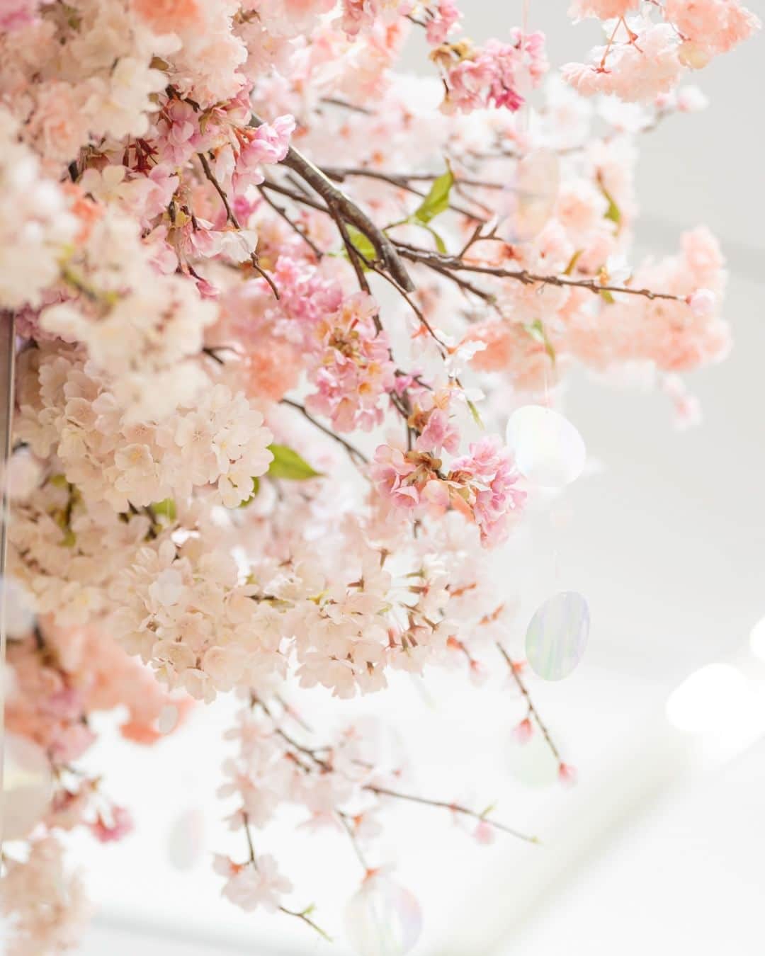 アトレ恵比寿公式さんのインスタグラム写真 - (アトレ恵比寿公式Instagram)「都心で春を感じるのは難しい…？  アトレ恵比寿では「生桜」をはじめとした、 桜の装飾を4月上旬まで実施してします🌸  新生活に新年度、慌ただしく過ぎる日々の中で 少し足を止めるきっかけになりますように｡:+* 視線を上げると、ほわっと咲く桜に心が和らぐかもしれません。  春爛漫なアトレ恵比寿に、ぜひお立ち寄りください♪  #アトレ恵比寿 #アトレ #atre #atreebisu #ebisu #春 #春装飾 #恵比寿駅 #恵比寿女子 #エビジョ #コンコース #桜 #さくら  #新生活 #新年度 #応援 #癒し #装飾 #ディスプレイ #お花 #きれい  #tokyo #ebisu #sakura #cherryblossom」3月29日 12時00分 - atre_ebisu