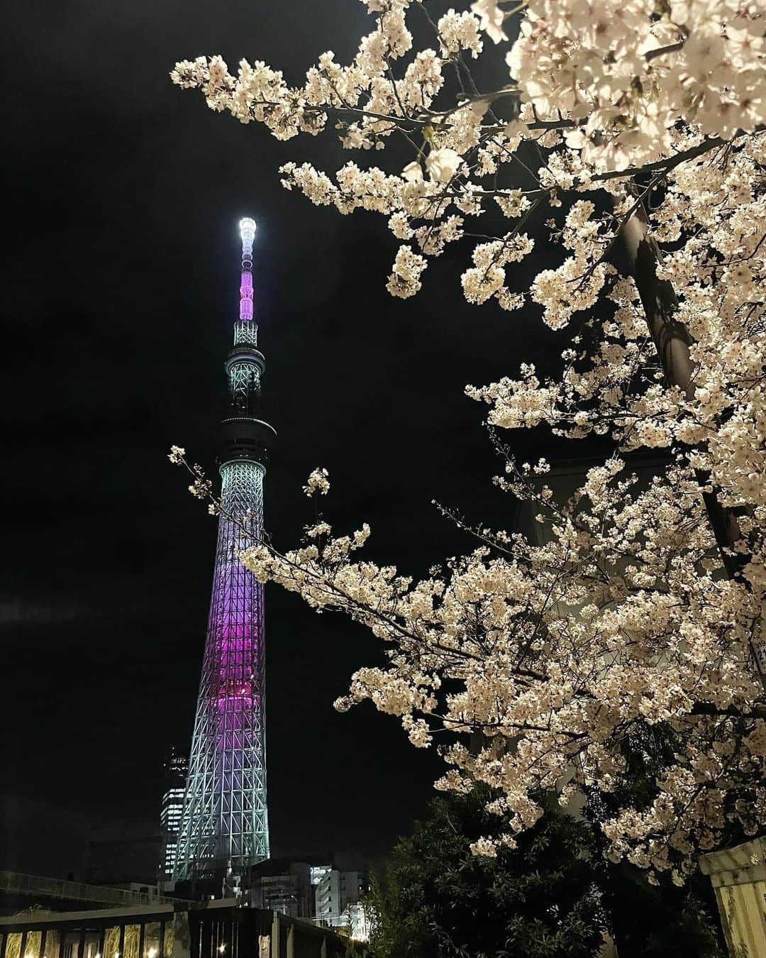 瀬名ひなののインスタグラム：「cherry blossoms  春〜夏にかけてが一番スキ」