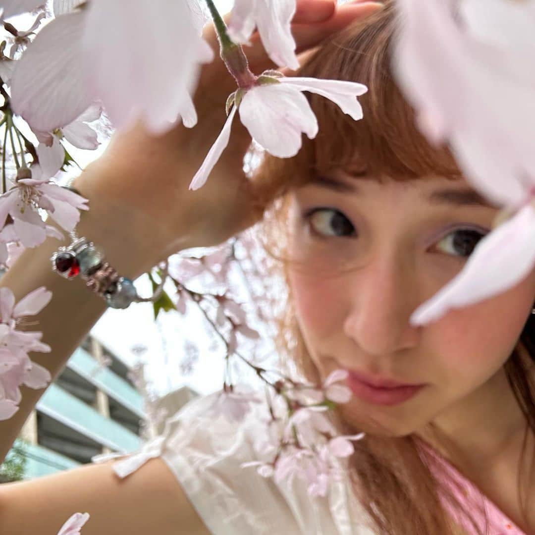 水原佑果のインスタグラム：「Once in a year of Sakura moments 🌸📸💝🐇　  #MomentsWithPandora  #パンドラ #パンドラジュエリー #ShotForPandora #Ad」