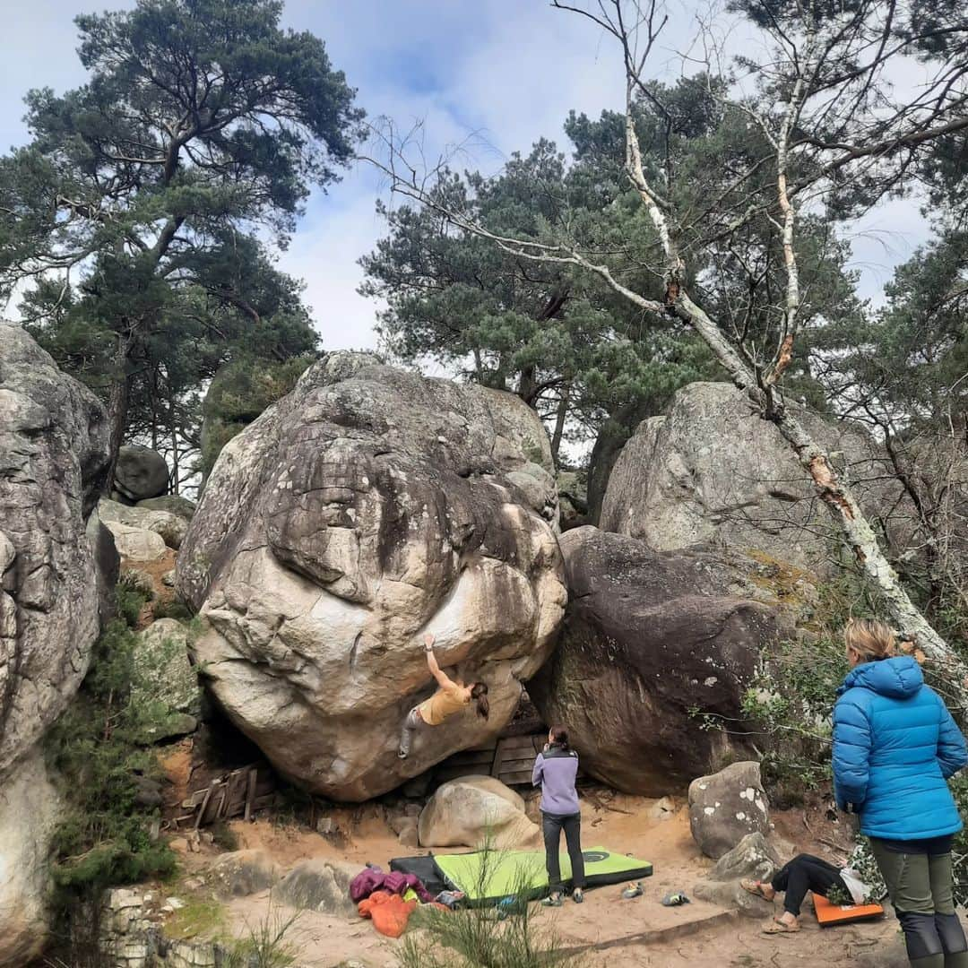 スターシャ・ゲージョさんのインスタグラム写真 - (スターシャ・ゲージョInstagram)「Fontainebleau didn't disappoint ❤️ It was a rather short trip and the weather was much better than expected 😅  I came without any (special) projects, just a few things I tried once before. I played (= got trashed) on quite some boulders, but I also managed to tick some classics:  Le Carnage 7B La Bérézina 7C L'Hélicoptère 7A  Le Toit du Cul de Chien 7A Eclipse 7C  Tristesse 7C Big Golden 7C+ Big Golden assis 8A  Also felt very proud to show my parents around this beautiful forest, my mom got to climb some nice blocs too. Met up with many good friends and climbed together with them.  I am very sore, my legs hurt and I got no skin left. Life here is good 🥰👌🏼  @trangoworldofficial #taketheotherway #waytotheboulder  @unparallelup  @tokyo_powder_germany  @planinarskisavezsrbije  #fontainebleau #bouldering #bloc #escalade #rockclimbing #girlswhoclimb  #climbing_pictures_of_instagram」3月29日 6時29分 - gejostasa