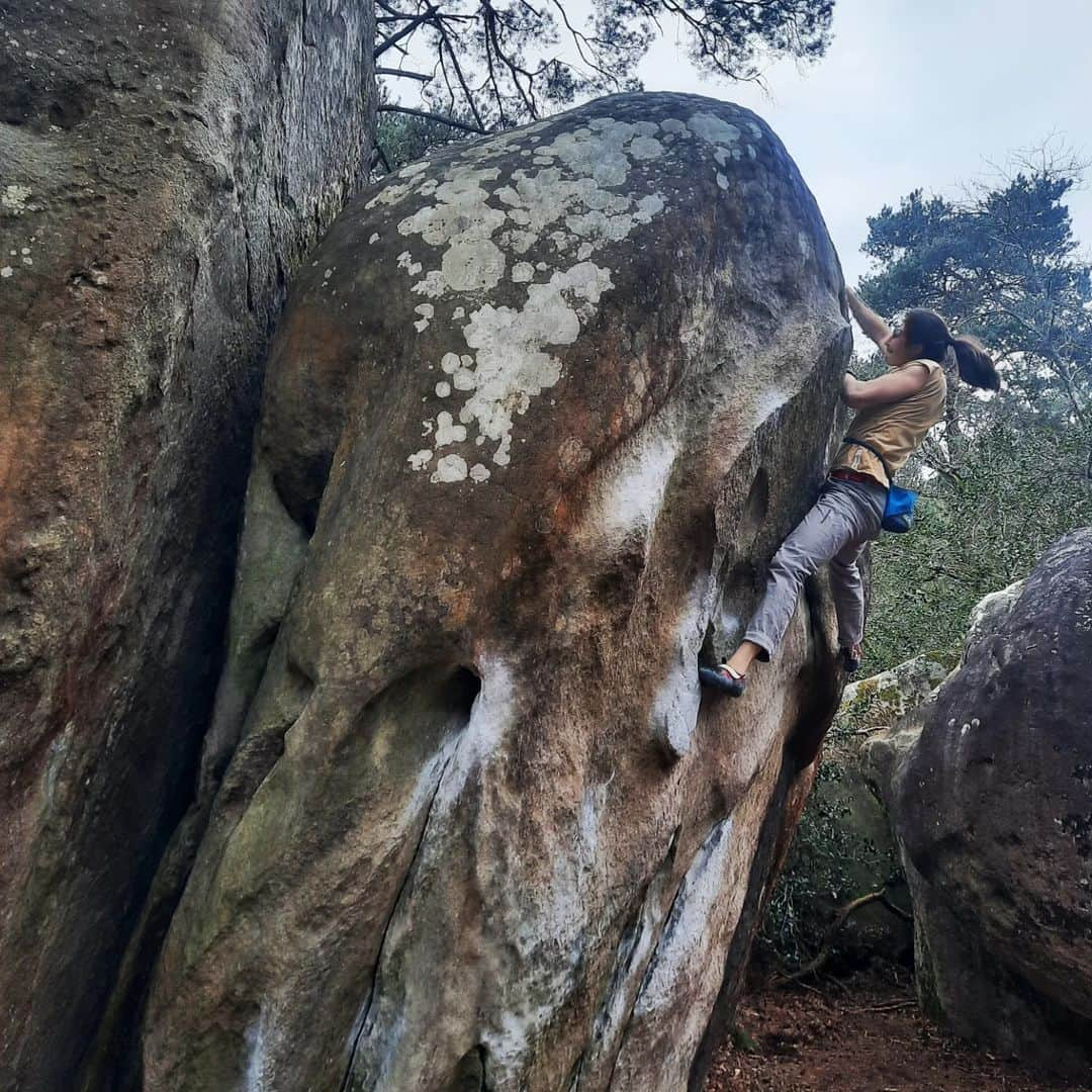 スターシャ・ゲージョのインスタグラム：「Fontainebleau didn't disappoint ❤️ It was a rather short trip and the weather was much better than expected 😅  I came without any (special) projects, just a few things I tried once before. I played (= got trashed) on quite some boulders, but I also managed to tick some classics:  Le Carnage 7B La Bérézina 7C L'Hélicoptère 7A  Le Toit du Cul de Chien 7A Eclipse 7C  Tristesse 7C Big Golden 7C+ Big Golden assis 8A  Also felt very proud to show my parents around this beautiful forest, my mom got to climb some nice blocs too. Met up with many good friends and climbed together with them.  I am very sore, my legs hurt and I got no skin left. Life here is good 🥰👌🏼  @trangoworldofficial #taketheotherway #waytotheboulder  @unparallelup  @tokyo_powder_germany  @planinarskisavezsrbije  #fontainebleau #bouldering #bloc #escalade #rockclimbing #girlswhoclimb  #climbing_pictures_of_instagram」