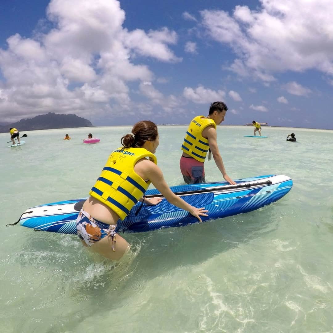 Luxury Cruise by Captain Bruceのインスタグラム：「SUP初心者でも楽しめます！⁠ サンドバーは海が穏やかのために、パドルボードの上でバランスを取りやすいです。⁠ ⁠ ⁠ぜひ挑戦してみてくださいね😄⁠ ⁠ #キャプテンブルース🔹⚓🔹 #天国の海ツアー #天国の海  #ハワイ #ハワイの自然 #シュノーケリング #カネオヘサンドバー #oahu ⁠#kaneohesandbar #hawaii #ahuolaka #hawaiivacation #hawaiitours #familyfriendlytravel #kaneohesnorkeling #hawaiinature #captainbrucehawaii」