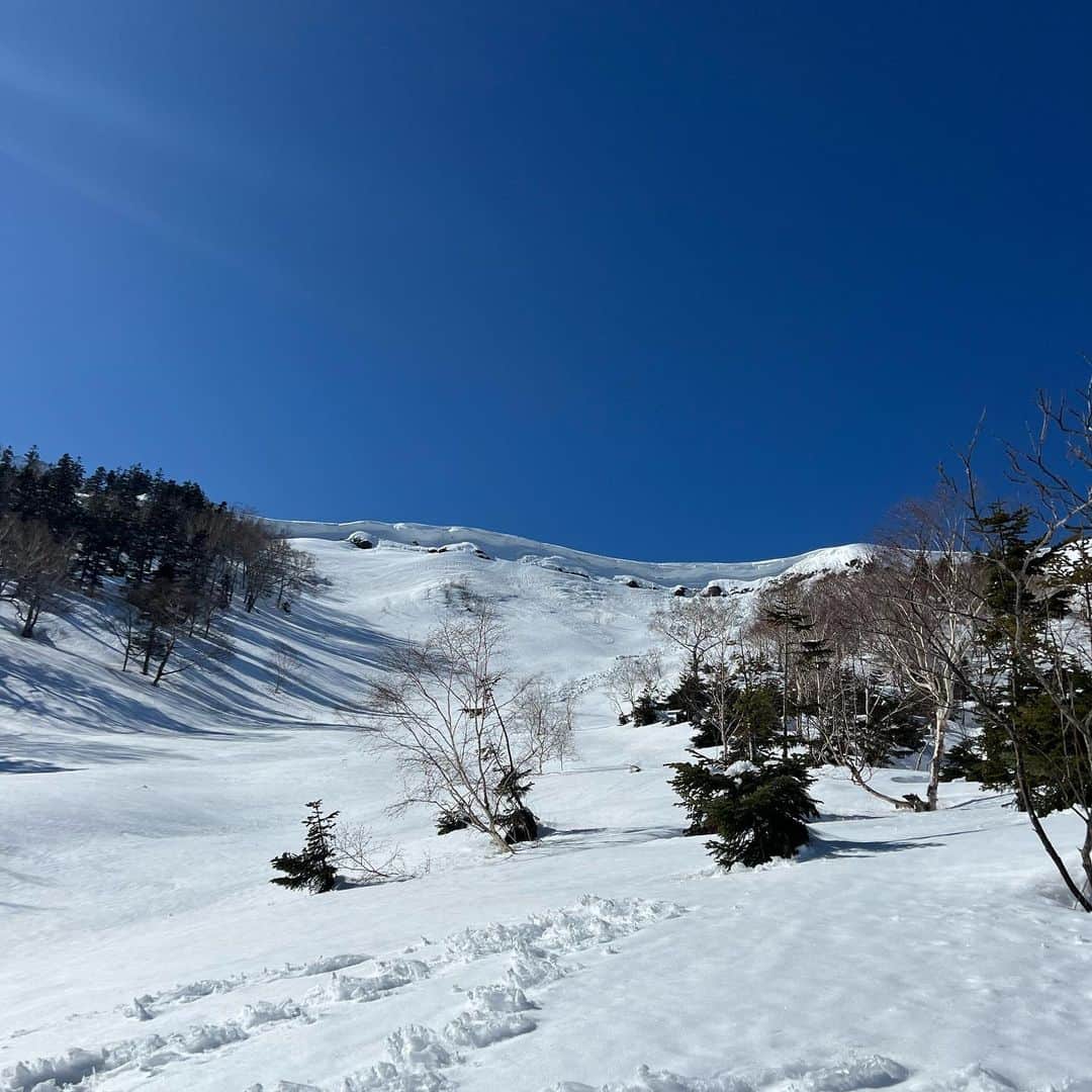 yukiさんのインスタグラム写真 - (yukiInstagram)「おはようございます。  先日 @ozetokura から #ナショナルパーク尾瀬キャットツアー を体験してきました。  スキーで生きてきましたけど、 もうもうもう、、、、、 言葉にならないほどの感動体験でした🏔️  日本てこんなにも絶景で 自然が豊かで、 こんな雪山の楽しみ方もあるんだ！って。  気の知れた友人たちと 写真を撮り合ったり、 笑いながら滑ったり、崖に落ちそうになったり🤣 それはそれは幸せすぎる時間でした。  さて、わたしの2022/23 シーズンは 修学旅行やスキー初心者という、 一番大切にすべき普及の場を多く経験させてもらい 今後のスキー業界について、自分の立ち位置について 深く深く考えなおすことになりました。  これからやりたいことがいっぱいあって 自分でもワクワクしています🤩  これにて、スキーシーズン終了です。 とっても楽しかった。 印象強い冬だった。 たくさんの新しい出会いがありました。 関わってくれたみなさん、ありがとうございました🤍⛄️  #スキーで心を豊かに  #スポーツから学ぶ大切なこと  #人のためにやっている人やってる事は最終的に必ず報われる  #人の役に立てる喜び  #yukids」3月29日 7時26分 - milkayuki