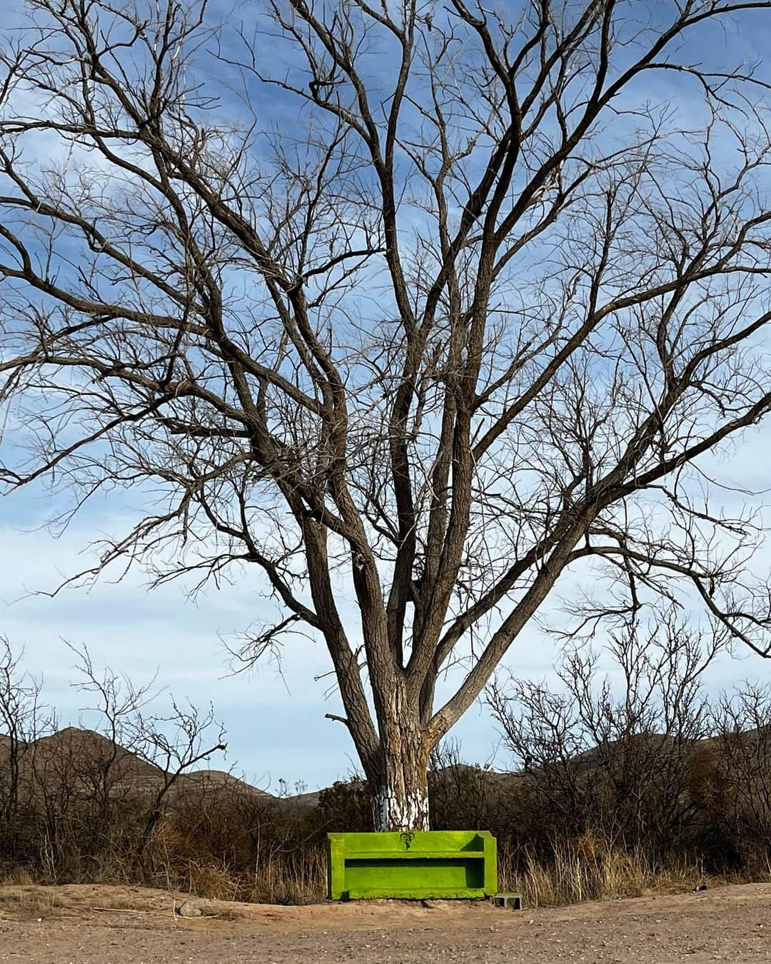 ニーナ・ウィリアムズさんのインスタグラム写真 - (ニーナ・ウィリアムズInstagram)「Found some sun in Hueco ☀️ A quick weekend yielded new-for-me Tequila Sunrise, redemption send on Choir Boys Low (heartbreaker dab 10 !! years ago), and osmosis stoke watching @tchenrock link some big overlaps on the Cave’s longest journey. I’m still in rope training mode but pretty glad I was goaded back to bouldering for a short bit. Biggest highlight was @mariaritavalles remembering me after all these years. Peep the waterpark postcard she signed for me nearly a decade ago! 😂🥹 Thanks @huecotanksstatepark, so many fond memories here 💛💛  Now back to routes, repeaters, and the windy River Wall 🌬️🥶  @thenorthface @thenorthface_climb @scarpana @organicclimbing #climbing #bouldering #huecotanks」3月29日 8時21分 - sheneenagins