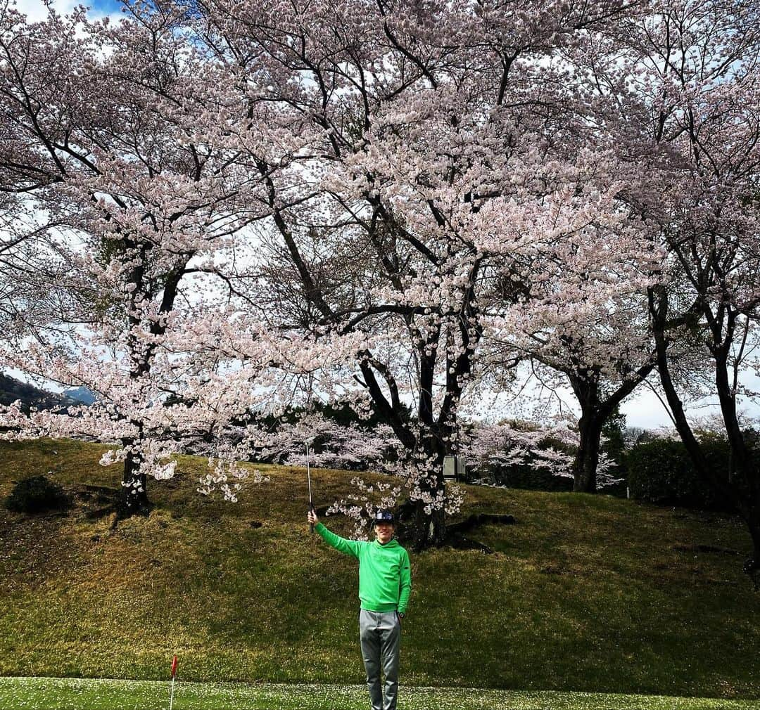 日比野玲さんのインスタグラム写真 - (日比野玲Instagram)「桜コースというだけあって、、各ホール桜満開っす！！  @callawayapparel_japan  #キャロウェイアパレル  #桜 #桜の中でゴルフ  #テンション上がる  #同級生ゴルフ #同級生は楽しい #オヤジゴルフ  #感謝感謝  #それな」3月29日 8時40分 - aquilano_hibino