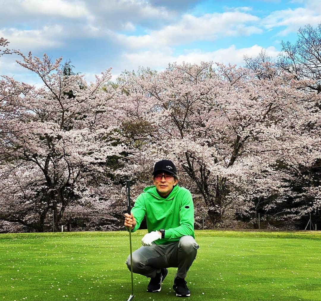 日比野玲さんのインスタグラム写真 - (日比野玲Instagram)「桜コースというだけあって、、各ホール桜満開っす！！  @callawayapparel_japan  #キャロウェイアパレル  #桜 #桜の中でゴルフ  #テンション上がる  #同級生ゴルフ #同級生は楽しい #オヤジゴルフ  #感謝感謝  #それな」3月29日 8時40分 - aquilano_hibino