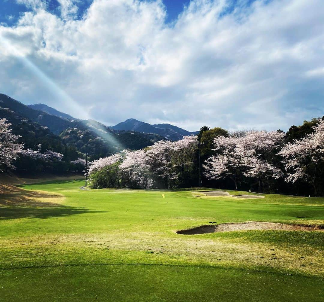 日比野玲さんのインスタグラム写真 - (日比野玲Instagram)「桜コースというだけあって、、各ホール桜満開っす！！  @callawayapparel_japan  #キャロウェイアパレル  #桜 #桜の中でゴルフ  #テンション上がる  #同級生ゴルフ #同級生は楽しい #オヤジゴルフ  #感謝感謝  #それな」3月29日 8時40分 - aquilano_hibino