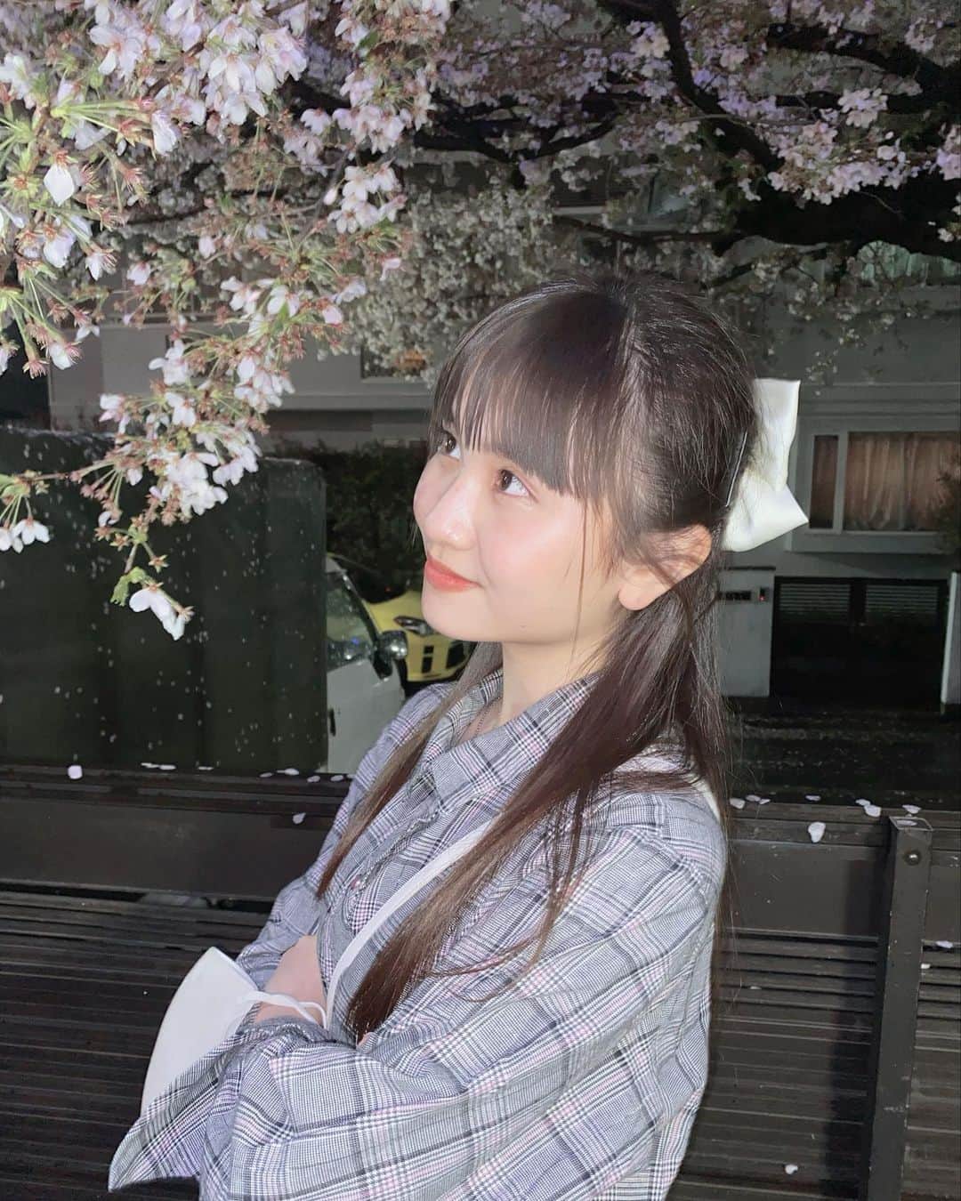 櫻井佑音さんのインスタグラム写真 - (櫻井佑音Instagram)「LIVEの帰りに綺麗な桜を見つけました𓂃🌸𓈒𓏸」3月29日 8時51分 - yuneyune00
