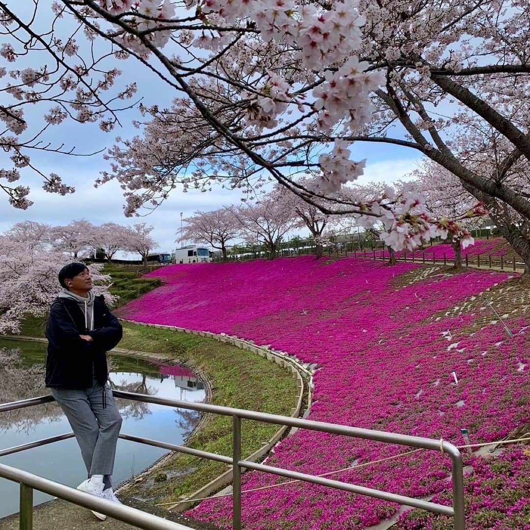 依田司さんのインスタグラム写真 - (依田司Instagram)「3月29日（水） 茨城県牛久市の牛久浄苑から。園内外には4種類400本の桜があり春爛漫。ソメイヨシノは土曜日に満開となりました。さらに、例年よりかなり早く芝桜も見頃となっています。ギネスにも載る巨大な牛久大仏とソメイヨシノ、芝桜の共演は今だけ。 桜雲に乗る大仏様は、極楽浄土の世界のよう。その大きさ、5枚目の動画でとくとご覧あれ。  #牛久大仏 #LACOSTE #ラコステ #依田さん #依田司 #お天気検定 #テレビ朝日 #グッドモーニング #サタデーステーション #気象予報士 #お天気キャスター #森林インストラクター #グリーンセイバーアドバンス #プロジェクトワイルド #IPCC伝導者 #japan #japantrip #japantravel #unknownjapan #japanAdvenそture #japanlife #lifeinjapan #instagramjapan #instajapan #療癒 #ilovejapan #weather #weathercaster #weatherforecast」3月29日 9時27分 - tsukasa_yoda