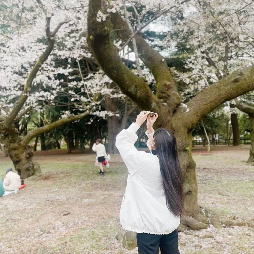 七木奏音さんのインスタグラム写真 - (七木奏音Instagram)「お友達と 今年の桜をみにいけました。 ただただ 桜に見惚れながら 友達とのんびり歩く時間だけで満たされたけど 桜の下でどっこいどっこい 笑い合ってる なんだか久しぶりな景色も見れて 嬉しくなったな〜。  さて 舞台「炎炎ノ消防隊」-五つ目の柱- 東京公演 初日です！ 銀河劇場でお待ちしております。  今日もたのしみ…！」3月29日 9時32分 - nanaki.kanon