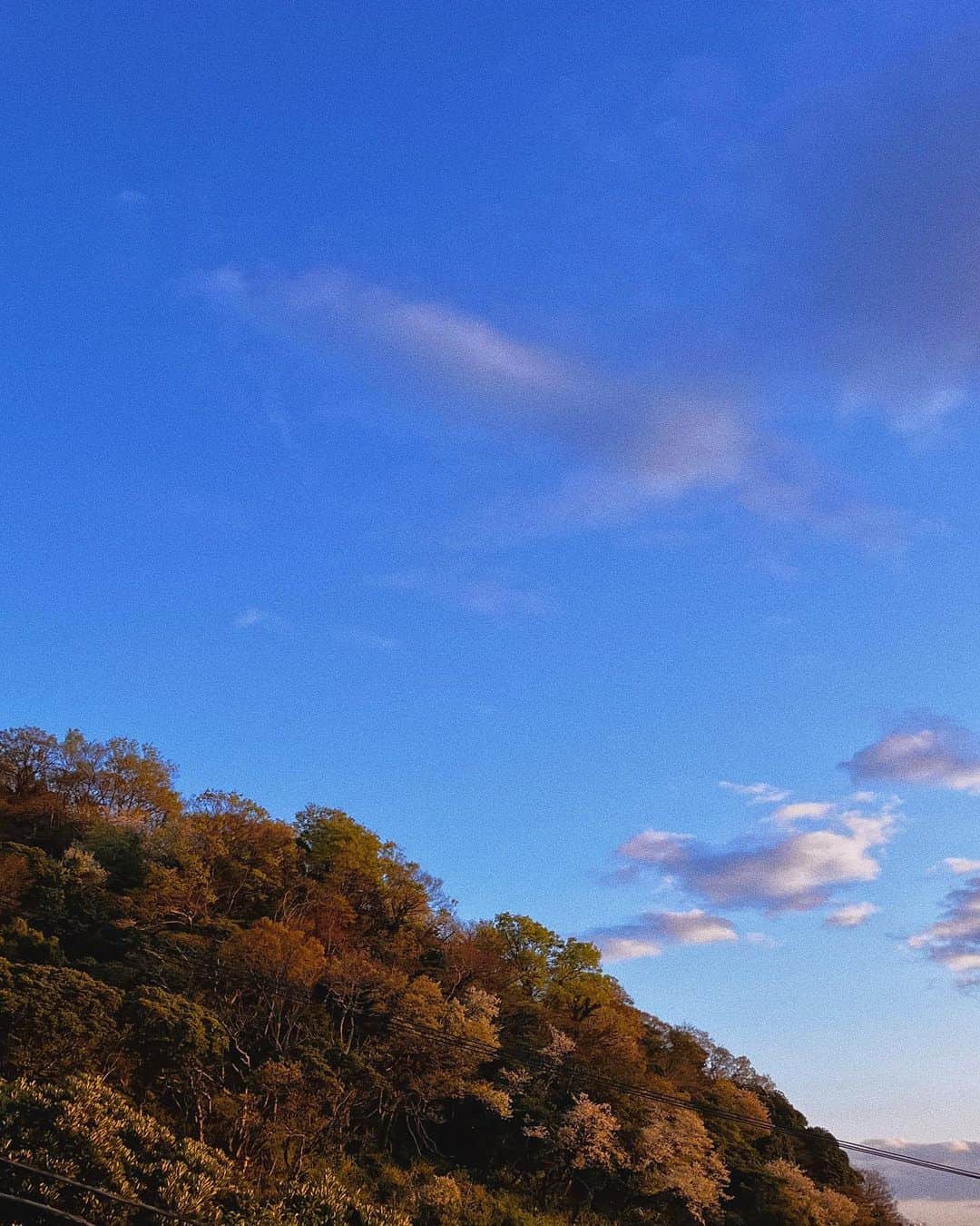 宇藤えみさんのインスタグラム写真 - (宇藤えみInstagram)「裏の激坂のさんぽ道。笑 山桜があちこちに咲いていて 桜のパッチワークのようで山が可愛い🌸 #暮らし#春いろ」3月29日 10時02分 - emiuto