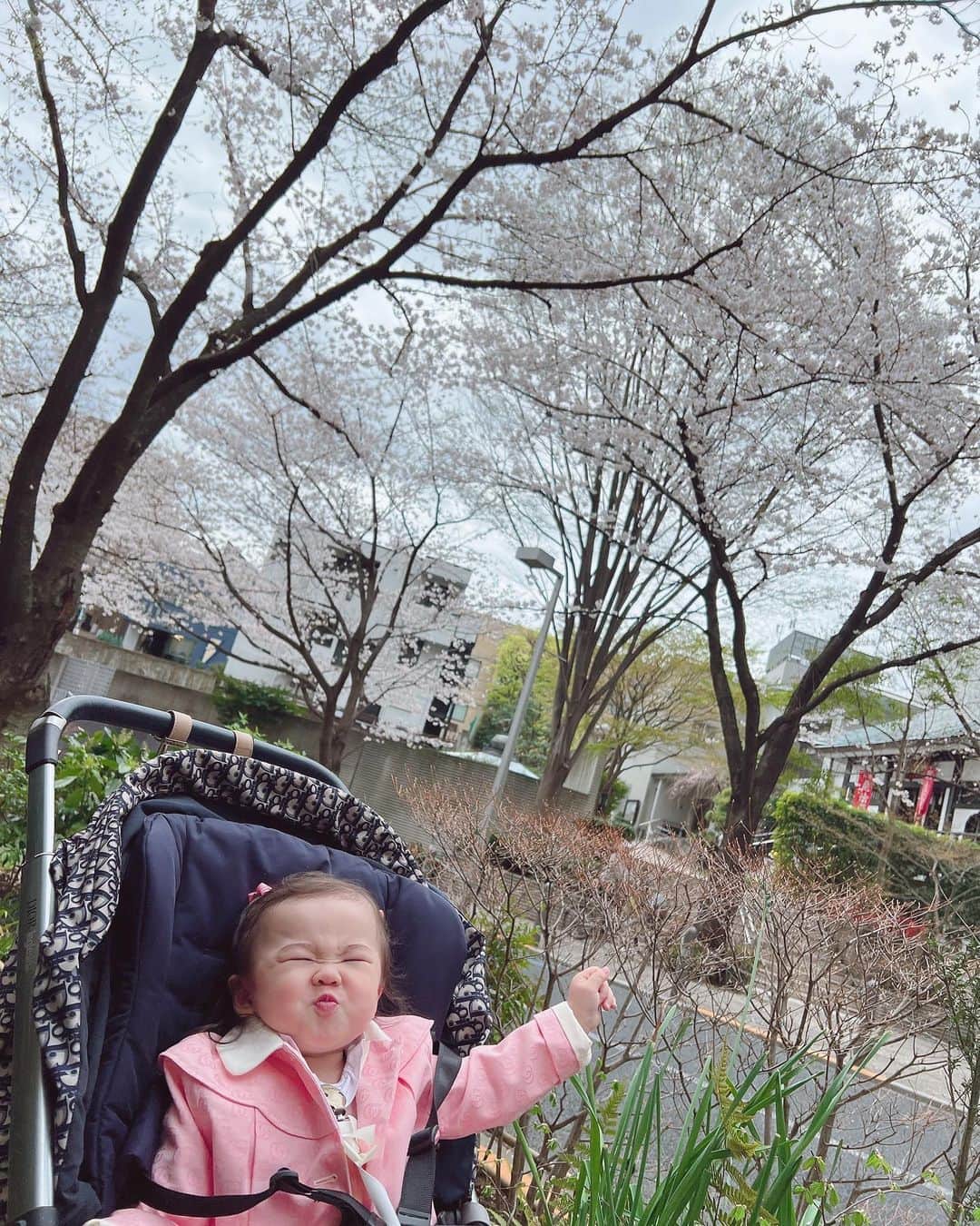 石田安奈さんのインスタグラム写真 - (石田安奈Instagram)「今年は一緒にお花見散歩したねー❤️ 少しずつ話しかけると反応してくれて顔や身体で表現してくれるのがたまらなく愛おしいです。  いつも寝かしつけした後はまったりタイムなのに子供の写真や動画を見返してる笑 そして寝落ち😂😂😂  子供のエネルギーのパワーってすごいなといつも感じます。 固定観念がなく思ったまま彼女の感性で動くのでそれを見てるのがとても楽しいし 好きな事を伸ばしてあげたい。 最近は、ダンス、アートやお絵かきが好きなのでそっちの方をお家時間では一緒に取り組んでます♡  #お花見#お散歩#女の子#女の子ママ#一歳半 #育児#子育て#dior#babydior」3月29日 10時26分 - annaishida_0527