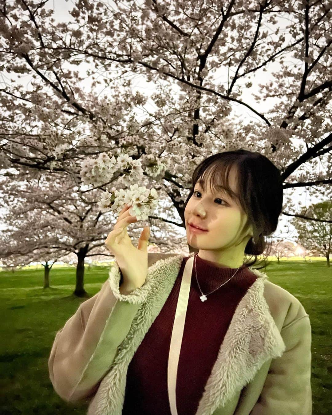 茜さやさんのインスタグラム写真 - (茜さやInstagram)「#桜　#🌸　#さくら　#桜スポット #お花見　#花見　#ソメイヨシノ　#ソメイヨシノ🌸 #sakura #cherryblossom #japan #japanese」3月29日 10時47分 - saya.akane