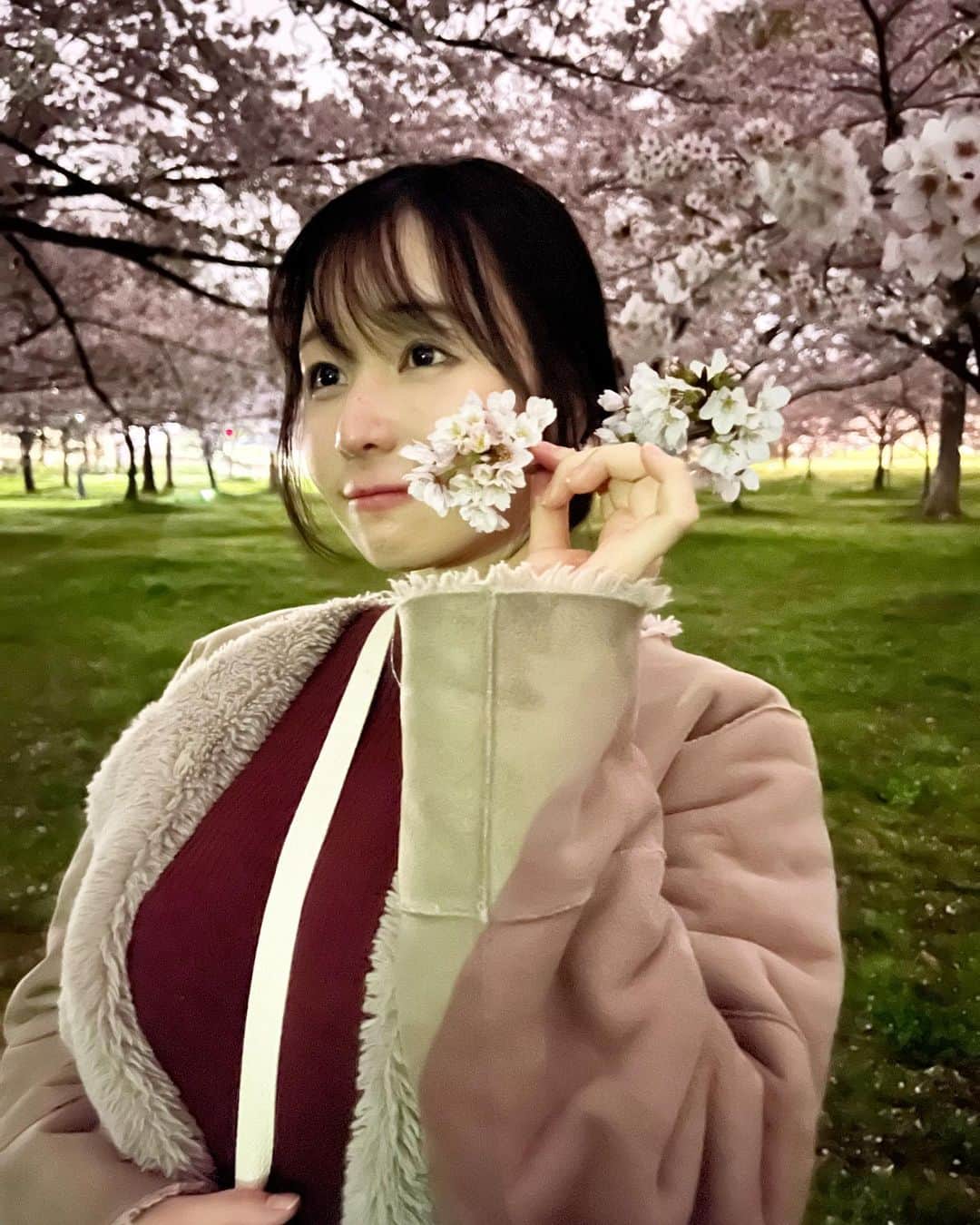 茜さやさんのインスタグラム写真 - (茜さやInstagram)「#桜　#🌸　#さくら　#桜スポット #お花見　#花見　#ソメイヨシノ　#ソメイヨシノ🌸 #sakura #cherryblossom #japan #japanese」3月29日 10時47分 - saya.akane