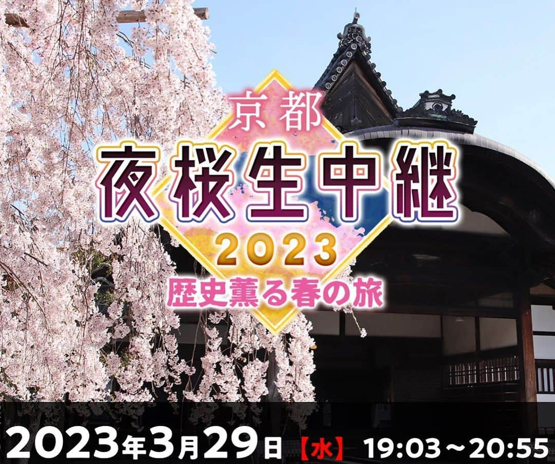 片岡愛之助さんのインスタグラム写真 - (片岡愛之助Instagram)「今夜7時3分〜8時53分 KBS京都  もしくは BS 11  にて  特別番組 「京都夜桜🌸生中継2023~歴史薫る春の旅~」 の司会を担当することになりました✨   世界遺産の京都・醍醐寺や、京都・渉成園の桜など、京の都から夜桜をお届けいたしまぁす！  桜🌸の季節を京都で過ごすのは久しぶりな気がしています。 まだまだ知らなかった京都の桜の魅力を、僕も、皆さんと一緒に楽しみたいと思いまぁす‼️  KBS京都 のみならず  BS11でも 生放送されます⭐︎  #桜 #花見 #夜桜  #世界遺産 #醍醐寺  #渉成園  #ライトアップ  #司会  #夜桜生中継」3月29日 10時50分 - ainosuke_kataoka