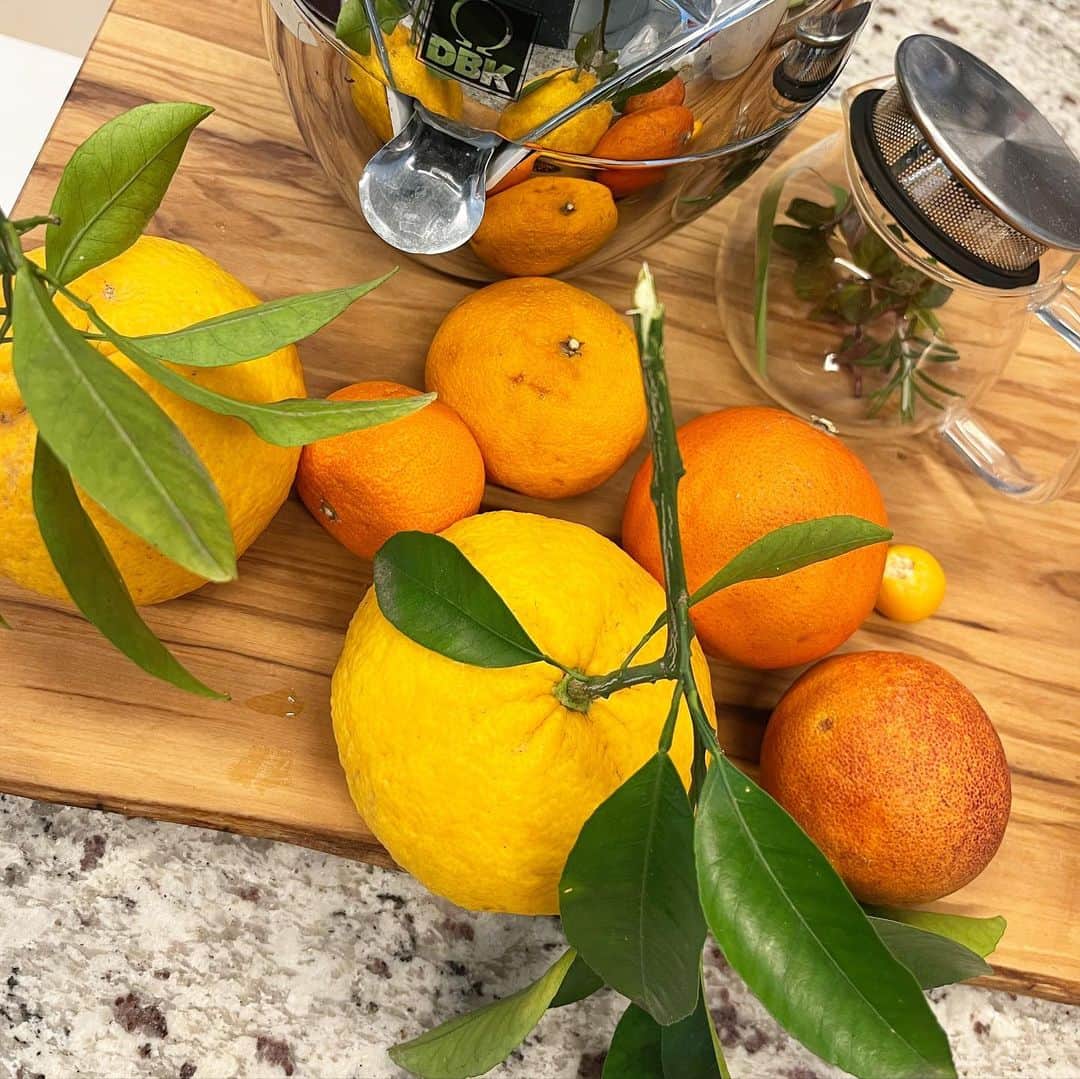 工藤静香さんのインスタグラム写真 - (工藤静香Instagram)「お庭柑橘！今年は甘い💕  皮が石のように硬くなった。オレンジもプラスして、絞りたてジュースを作りました✨✨  めちゃくちゃおいしいです💕💕  ３枚目　予想外の音」3月29日 10時57分 - kudo_shizuka