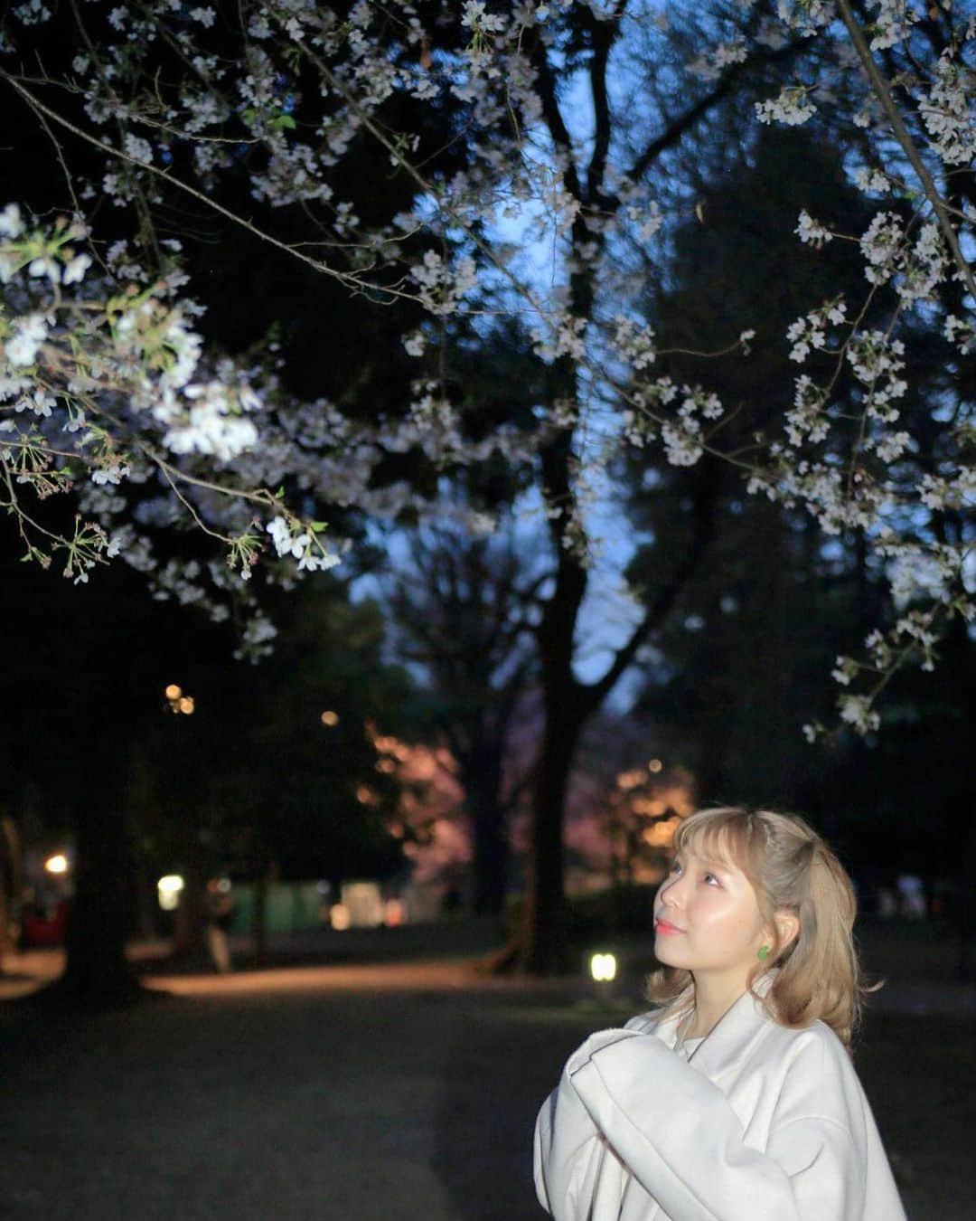 葵なつみのインスタグラム：「桜🌸  滑り込みで 桜見てきました🌸  #桜」