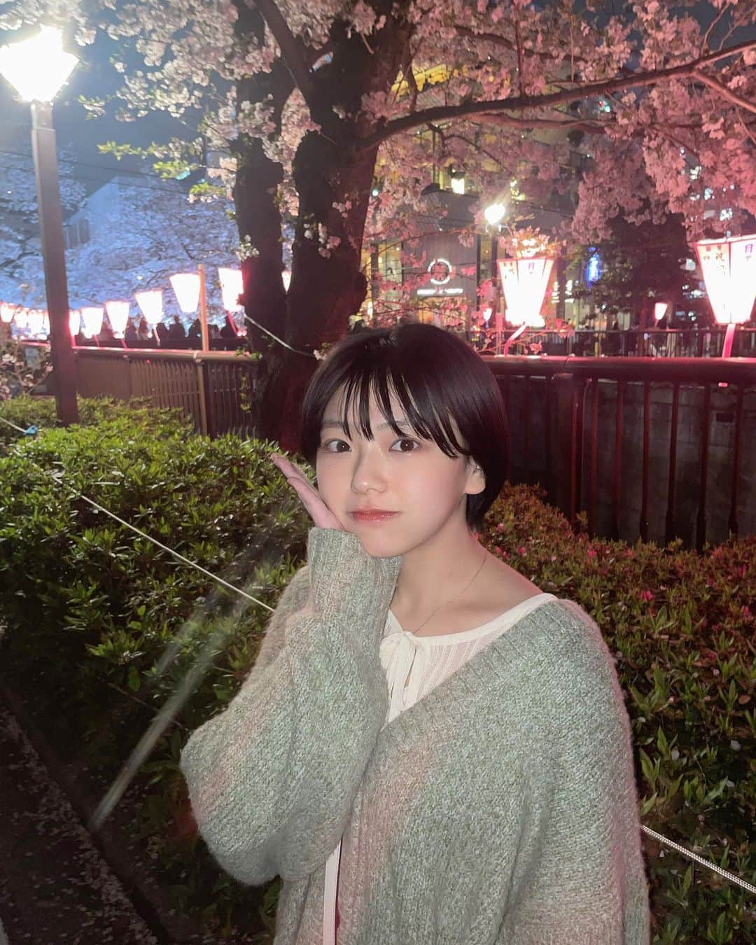 大熊杏優のインスタグラム：「桜！綺麗だった☺︎」