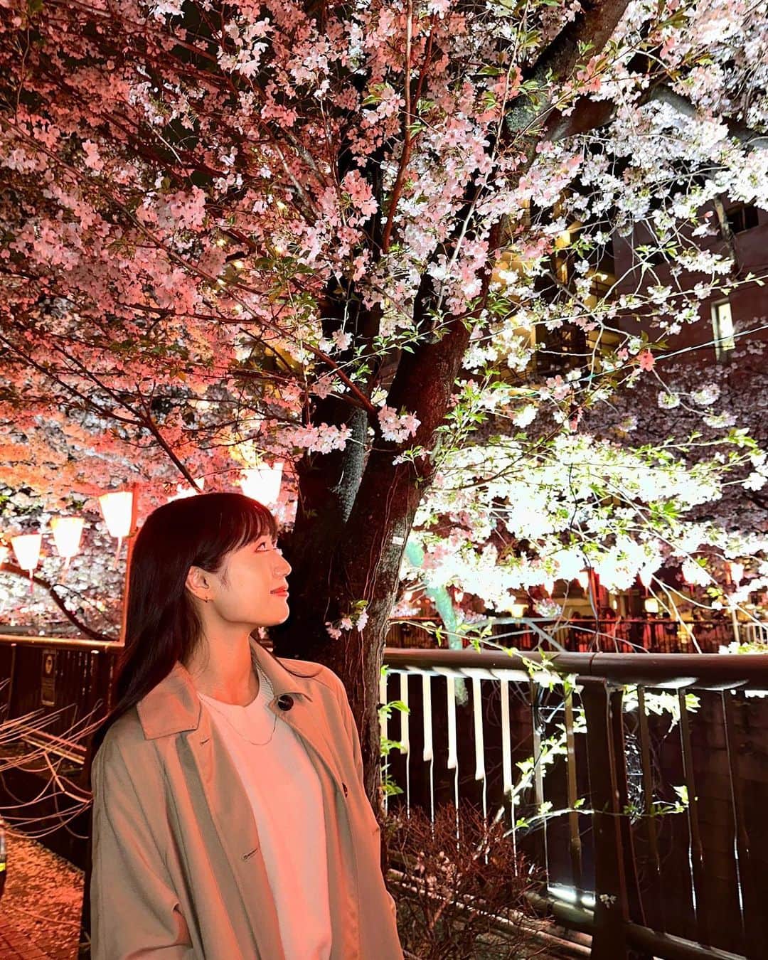 のインスタグラム：「🌸」