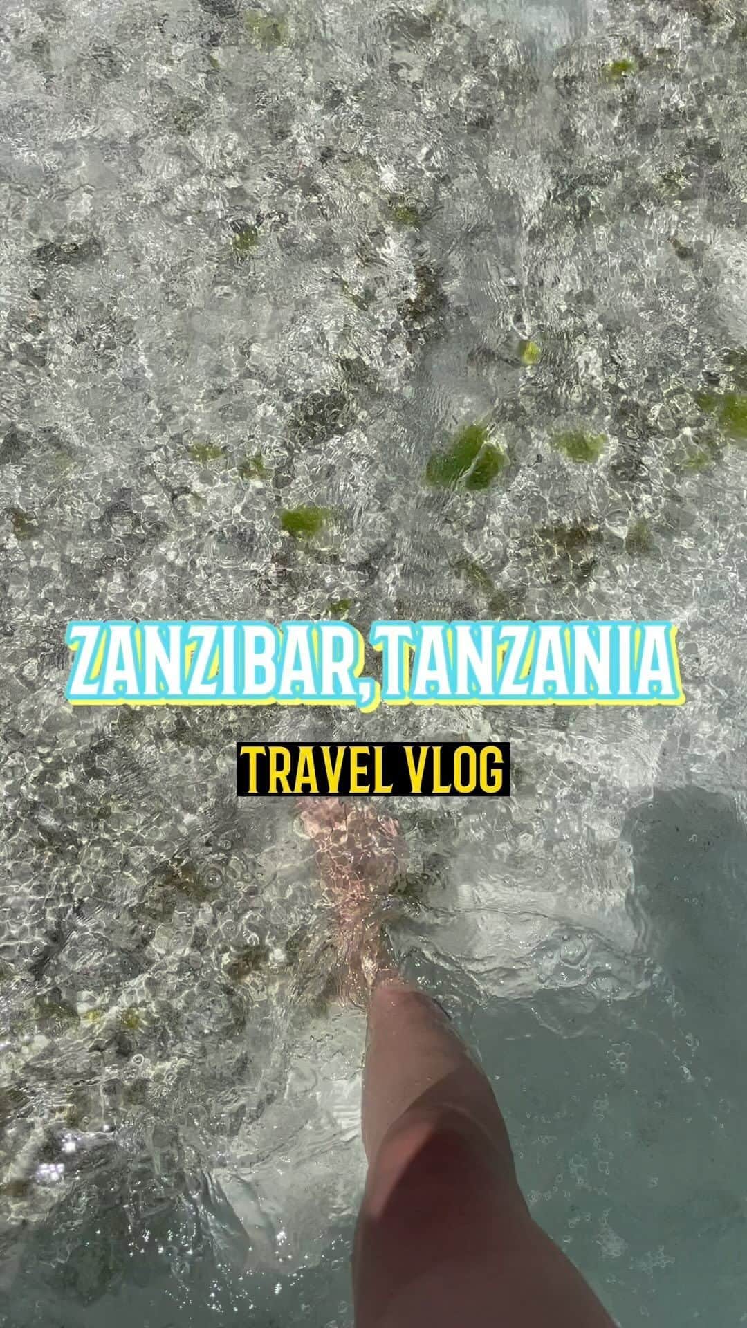 DJ CHIAKIのインスタグラム：「Zanzibar Tanzania 🇹🇿 に行った時は、初めての体験を沢山しました！シュノーケリングをしていたらイルカの群れに遭遇したり、カメと一緒に泳いだり、、監獄島は衝撃的で今でも忘れません😳🙌」